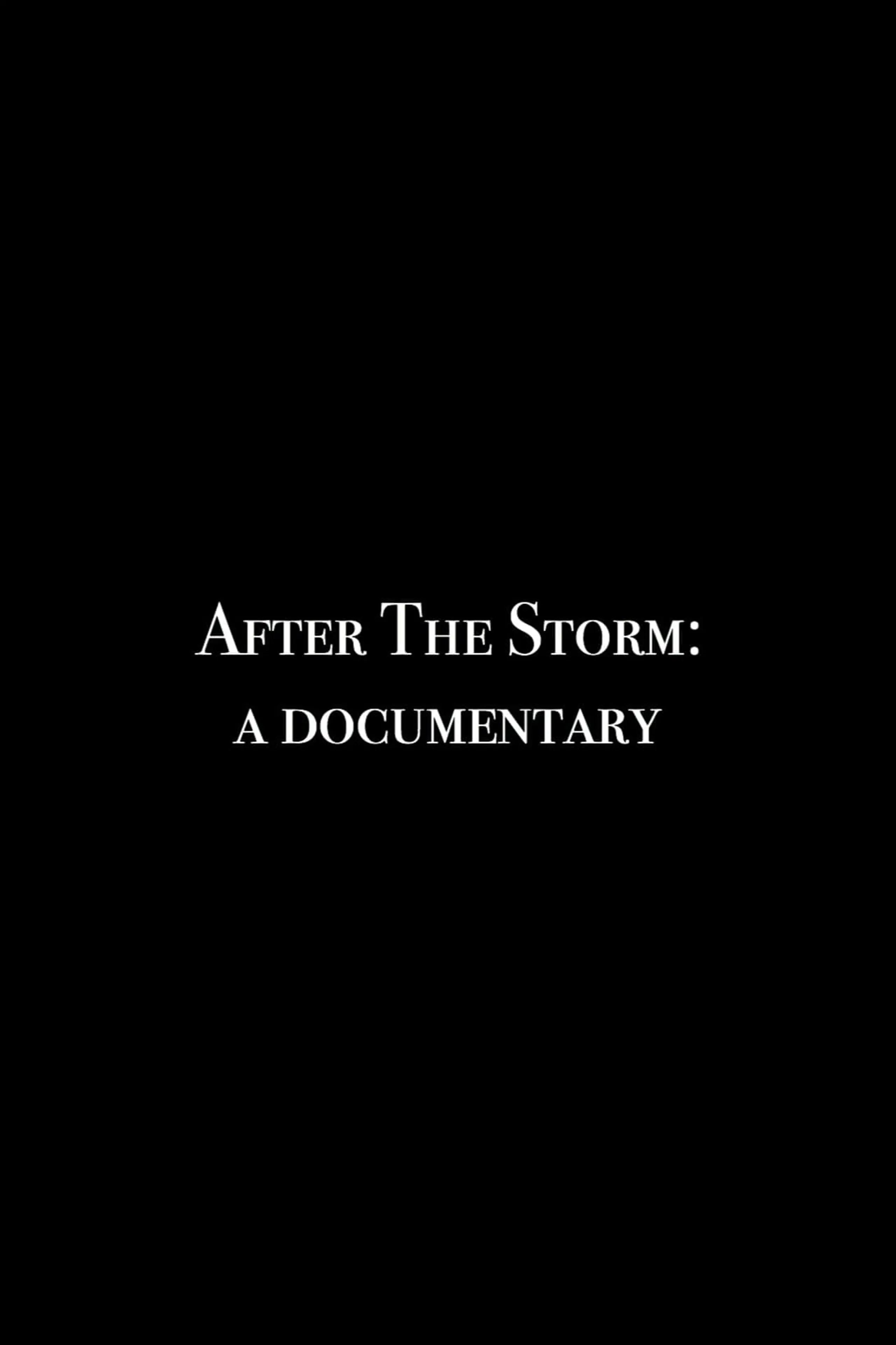 After the Storm: A Documentary