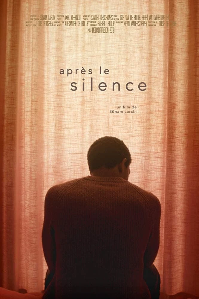 Après le silence