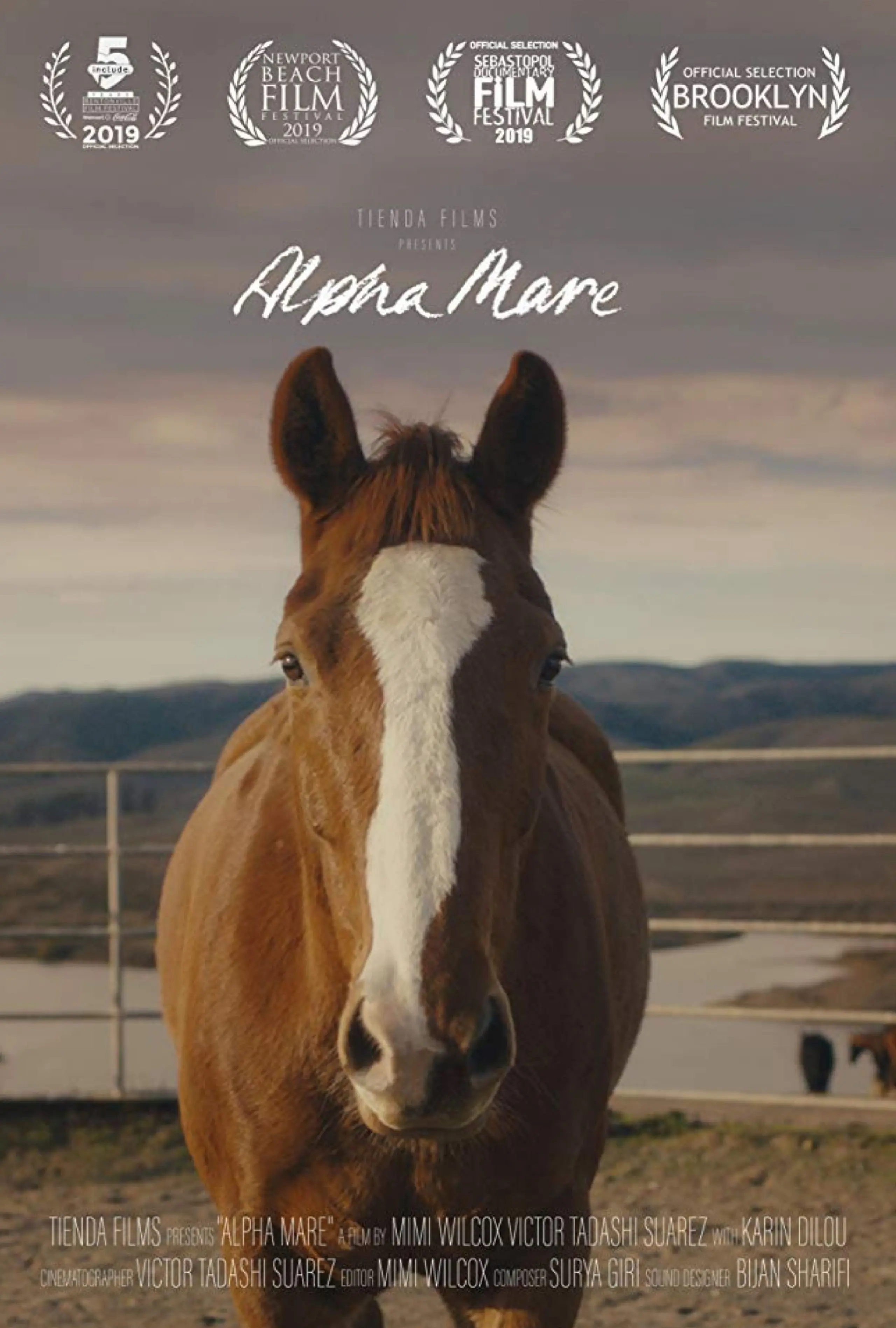 Alpha Mare