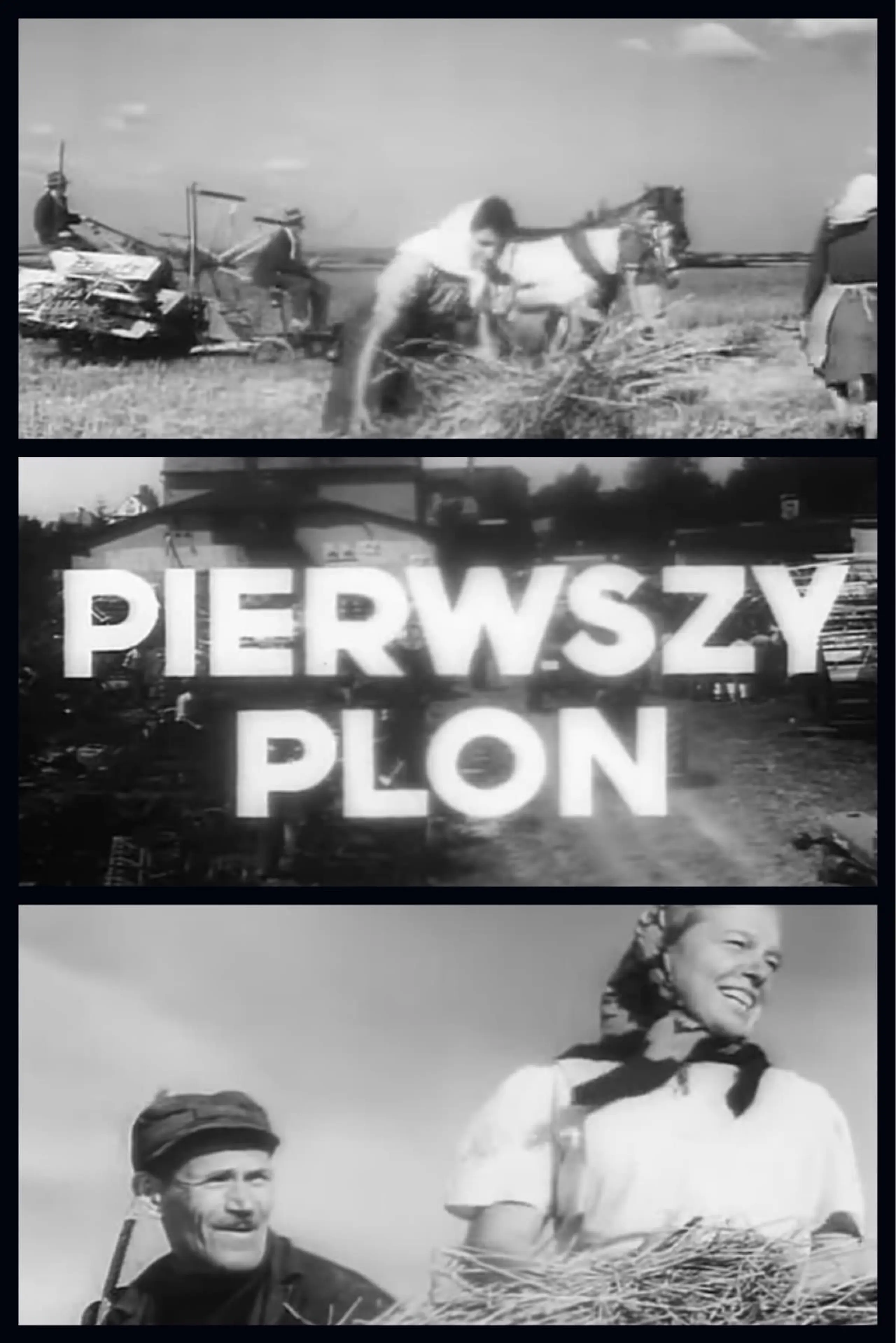 Pierwszy plon