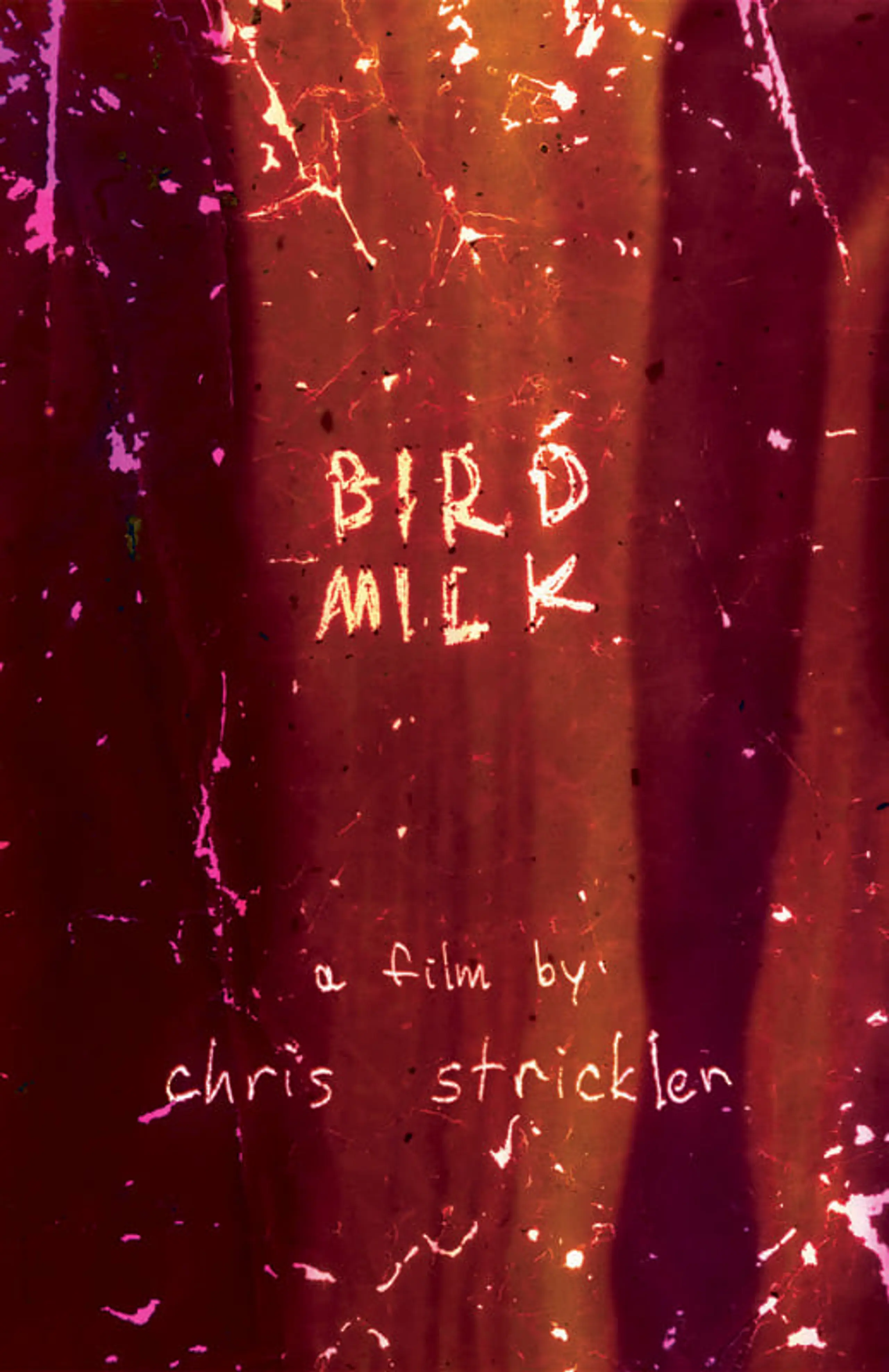 Bird Milk