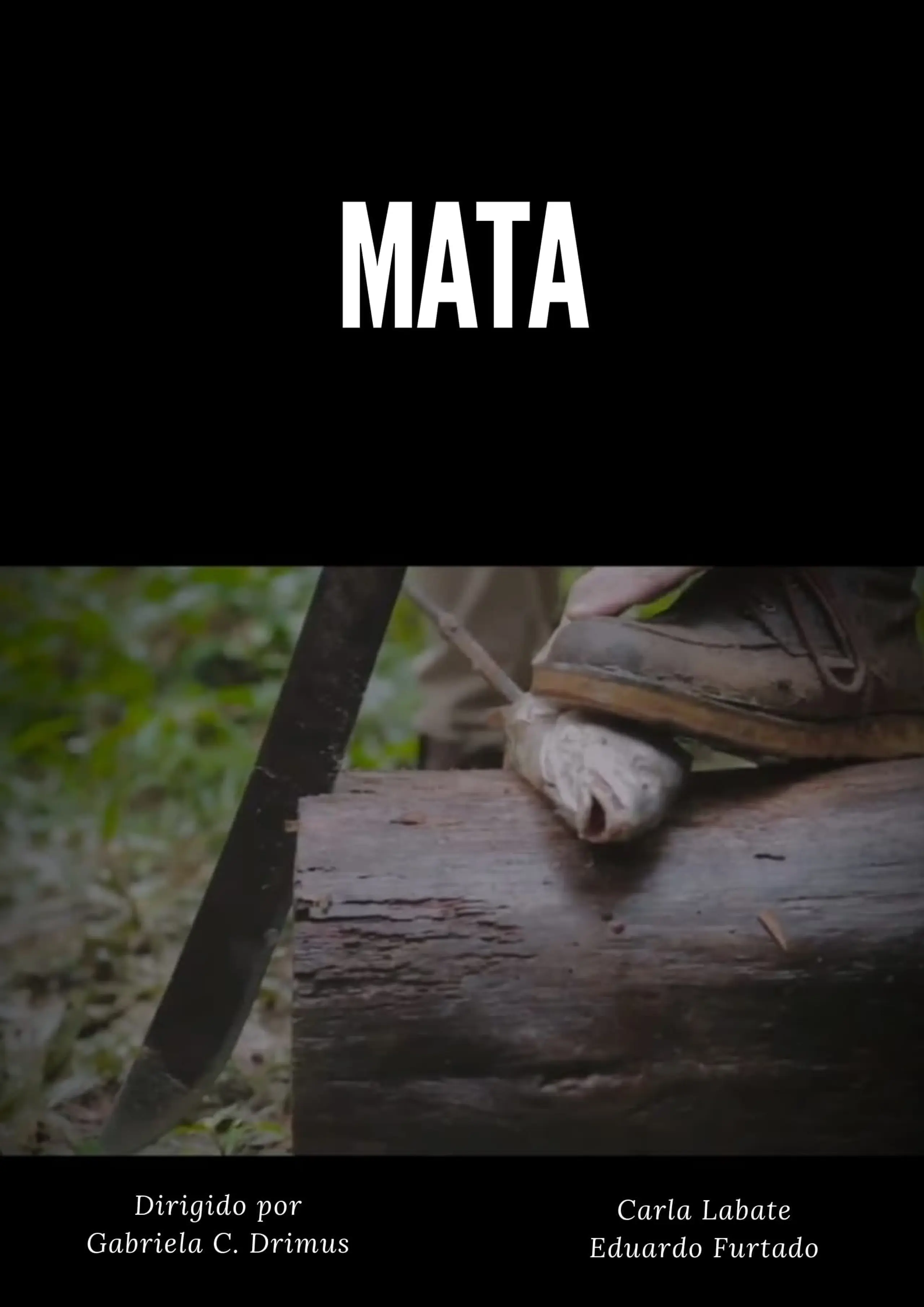 MATA