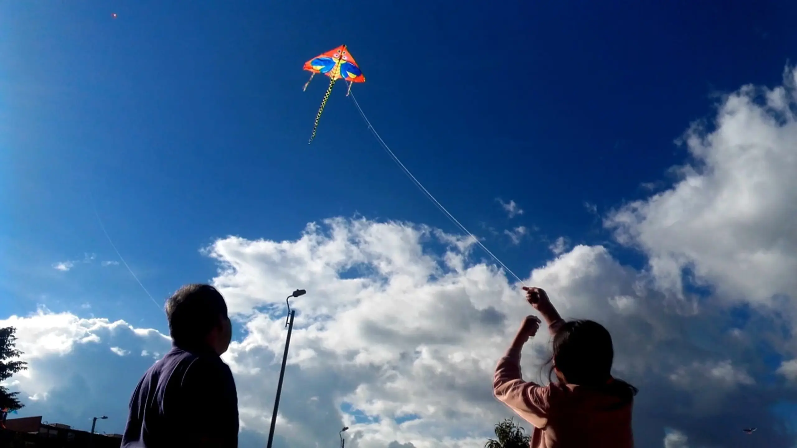 volar una cometa