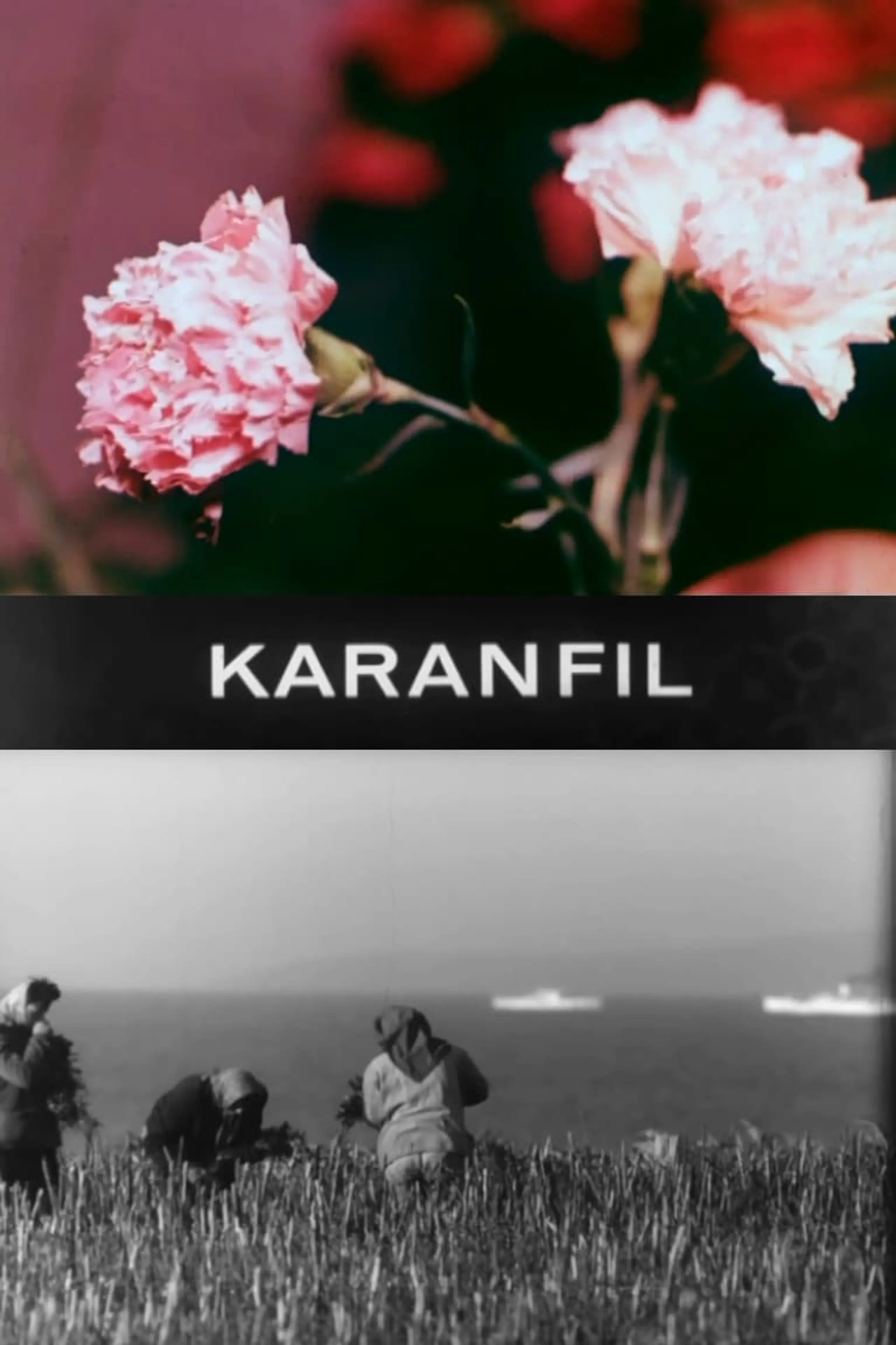 Karanfil