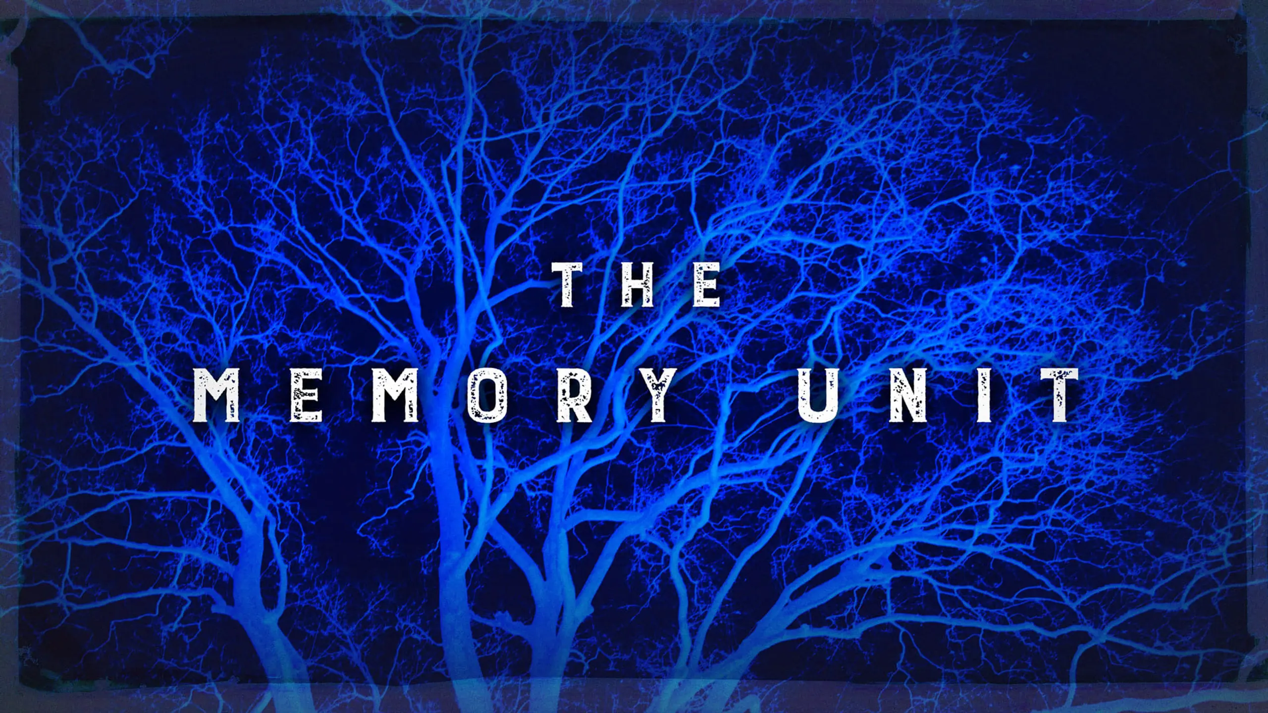 The Memory Unit