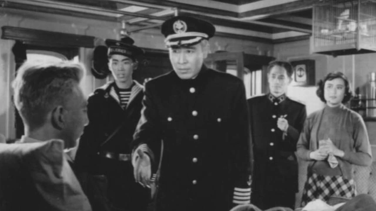 雾海夜航