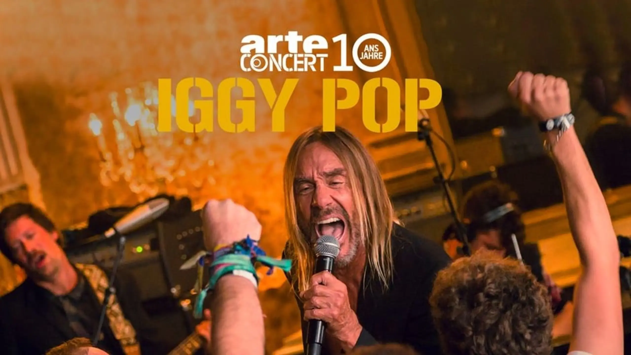 Iggy Pop - Live in Paris