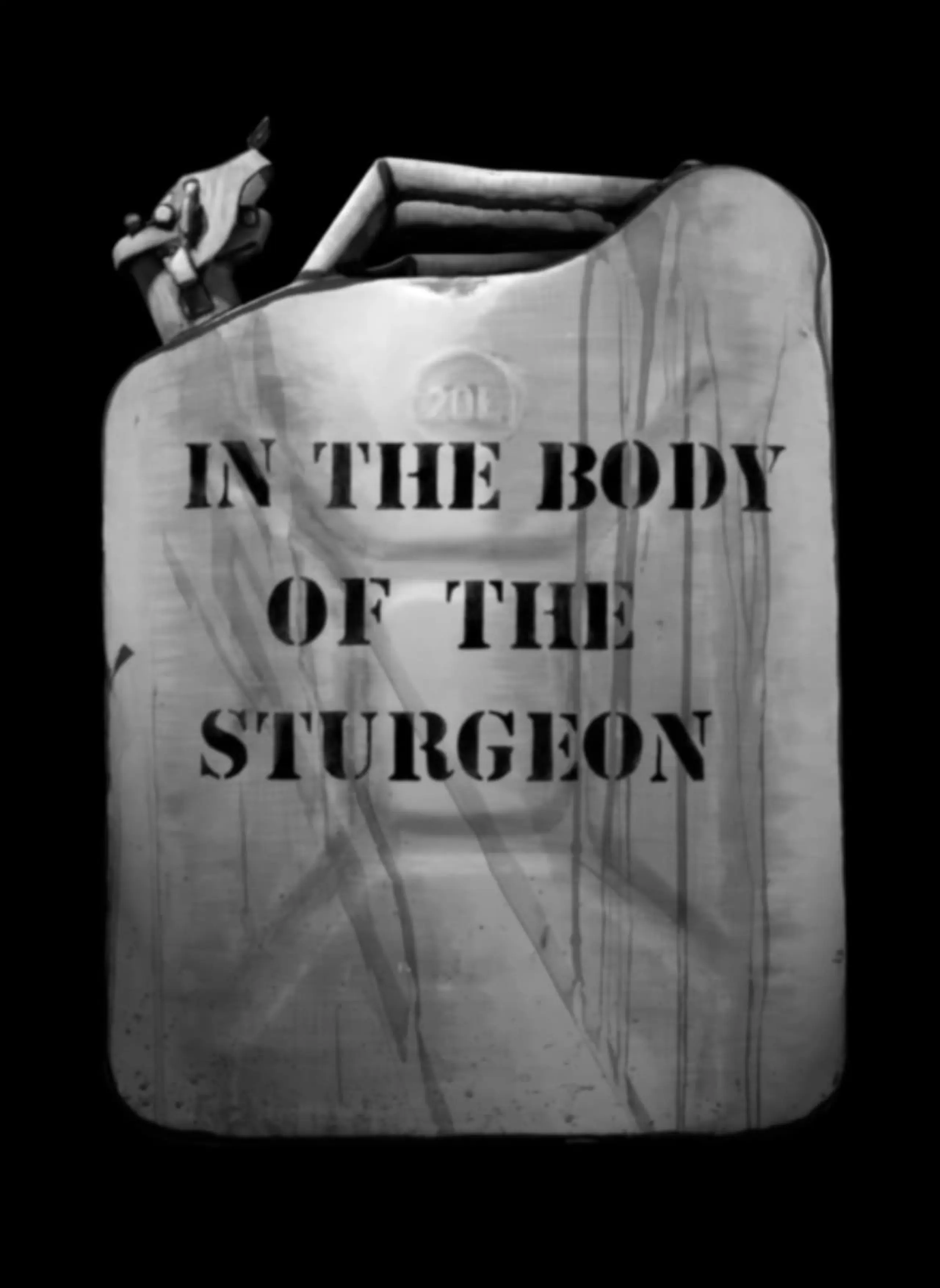 In the Body of the Sturgeon