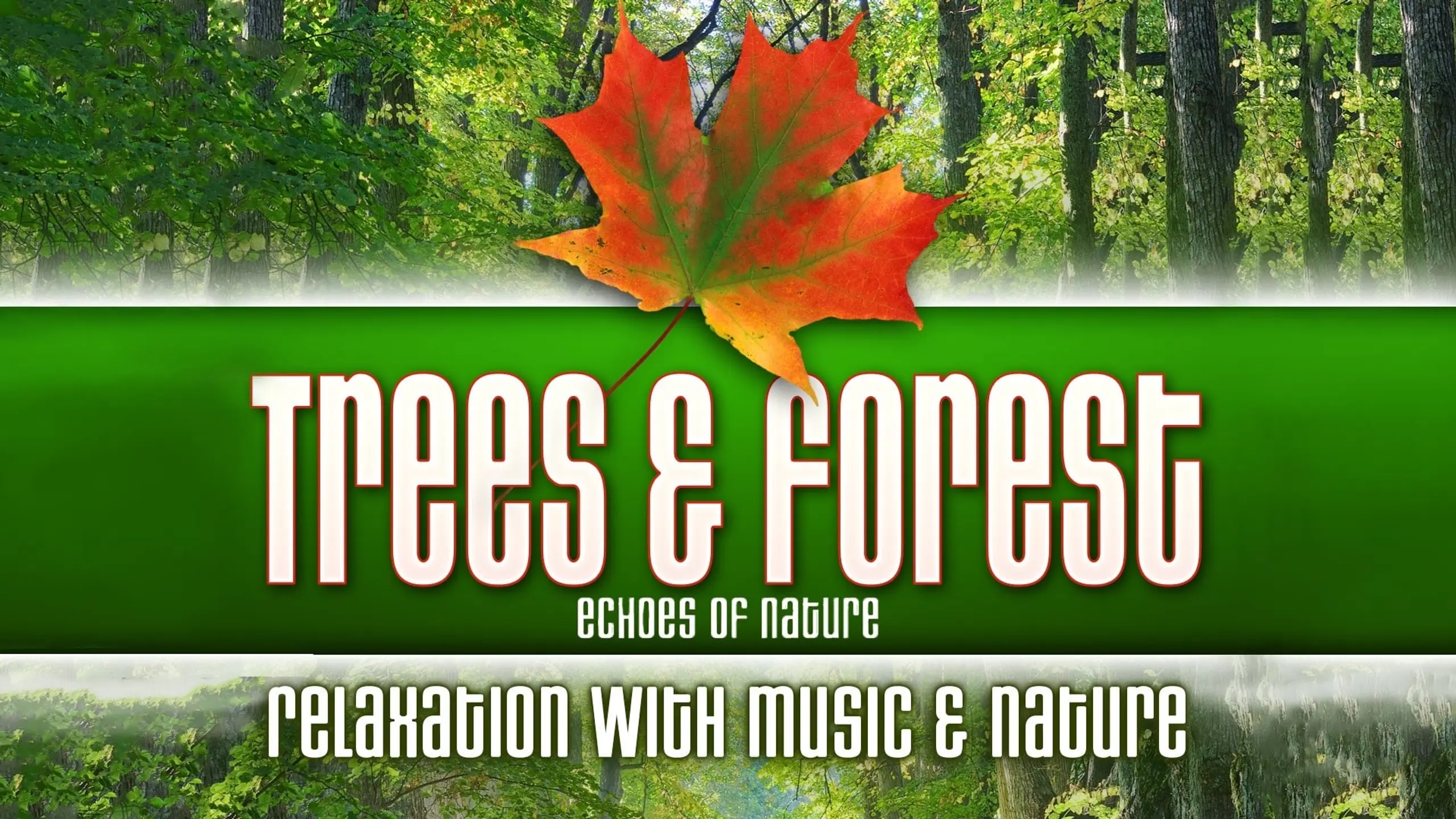 Trees & Forest: Echoes of Nature Relaxation with Music & Nature