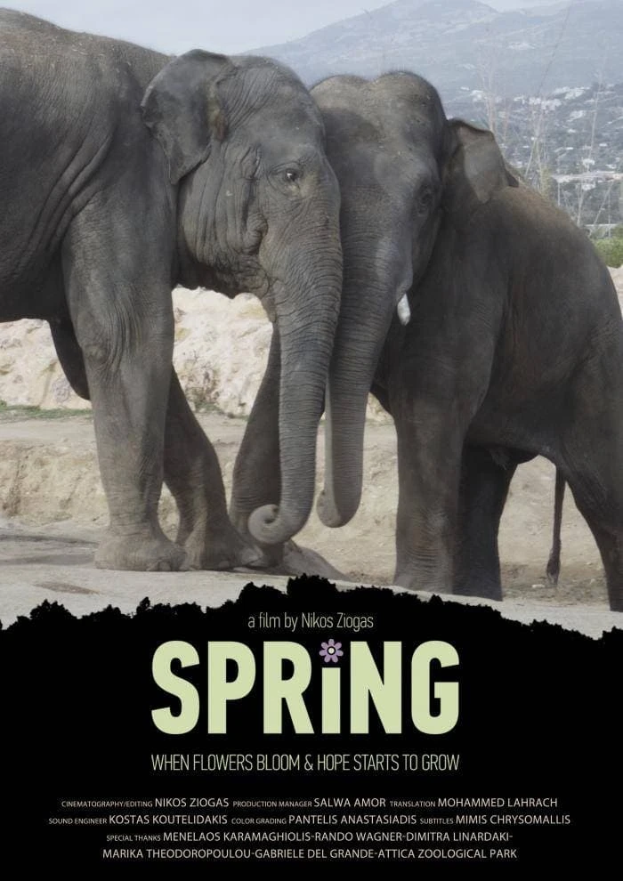 Spring