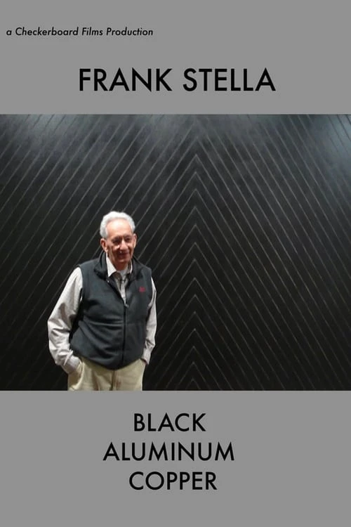 Frank Stella Black Aluminum Copper