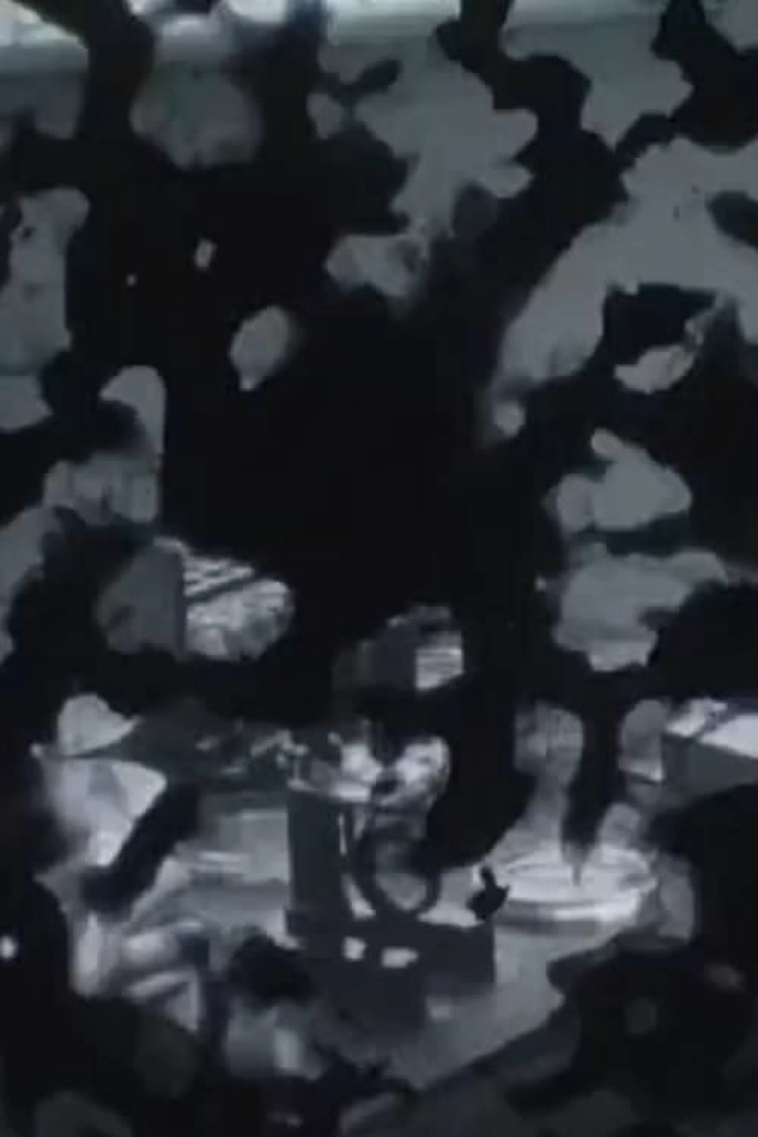 The Handeye: Bone Ghosts