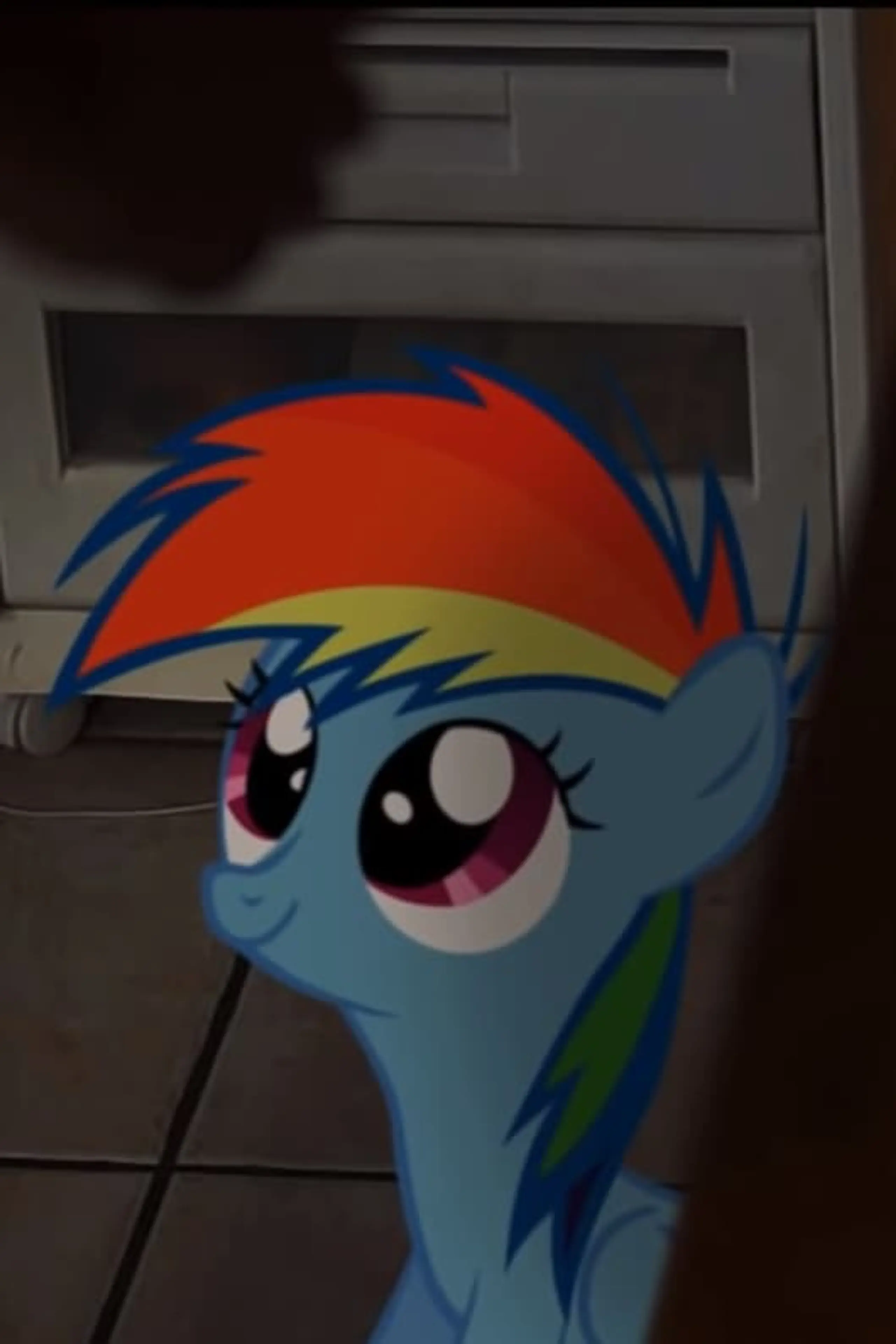 My Little Dashie