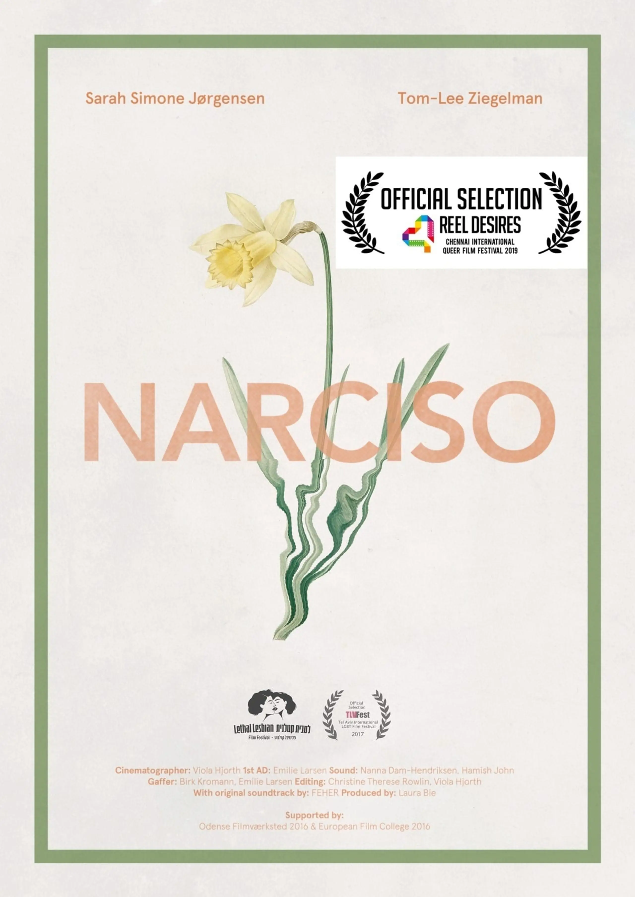 Narciso