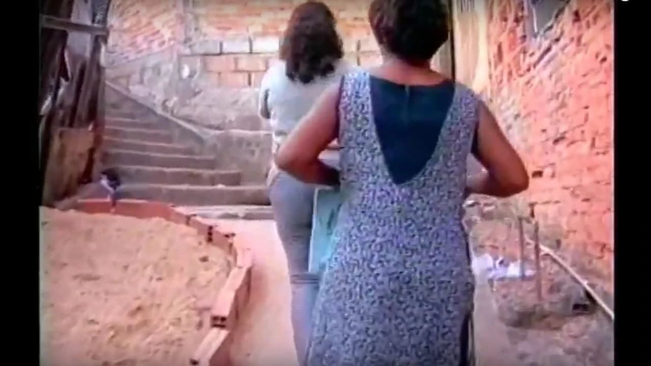 Seis Histórias