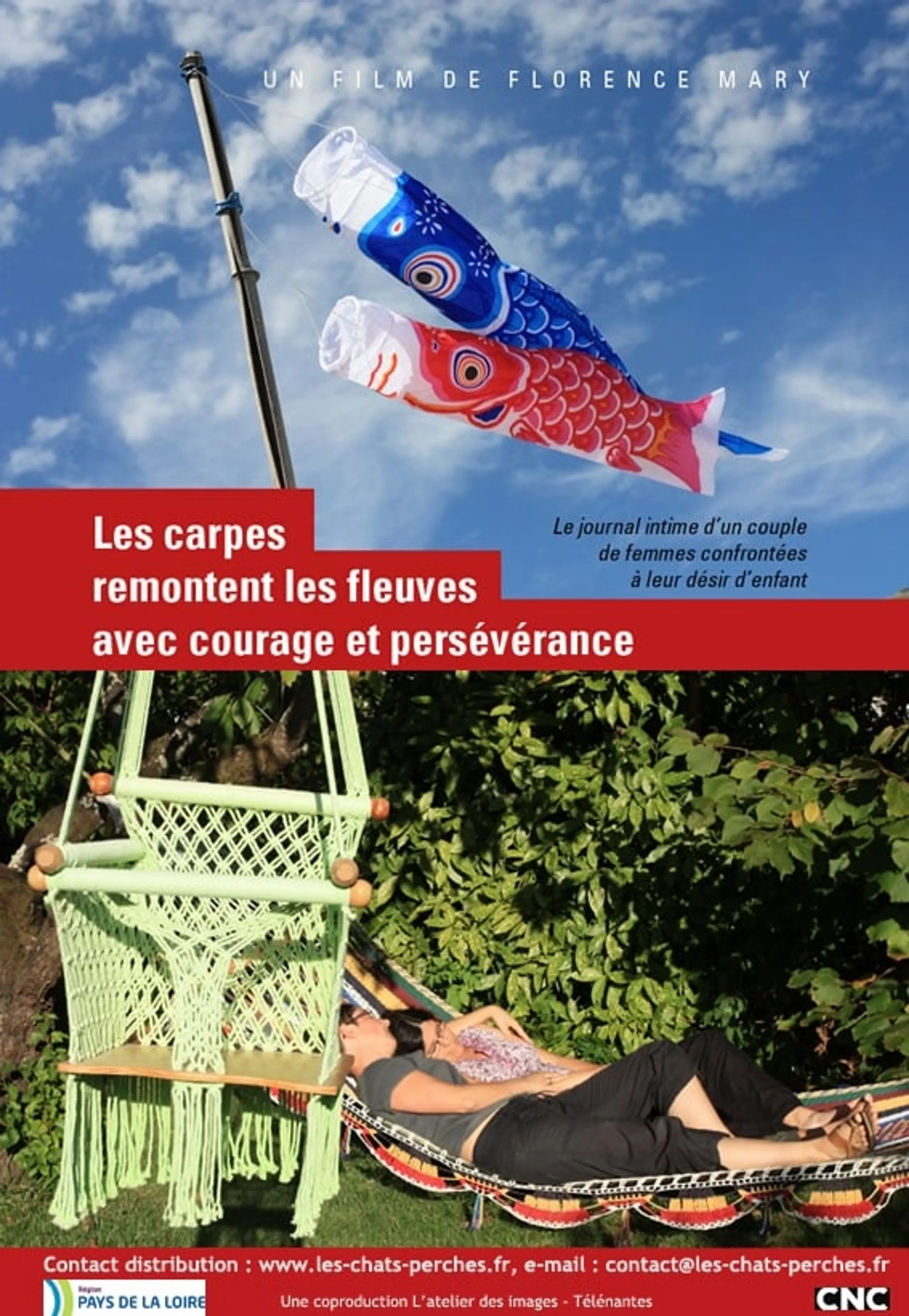 Les carpes remontent les fleuves avec courage et persévérance