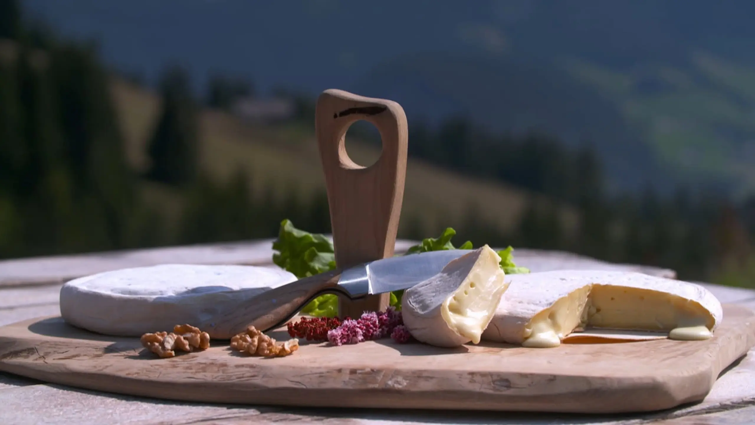 Fromages de montagne, au sommet du gout ?