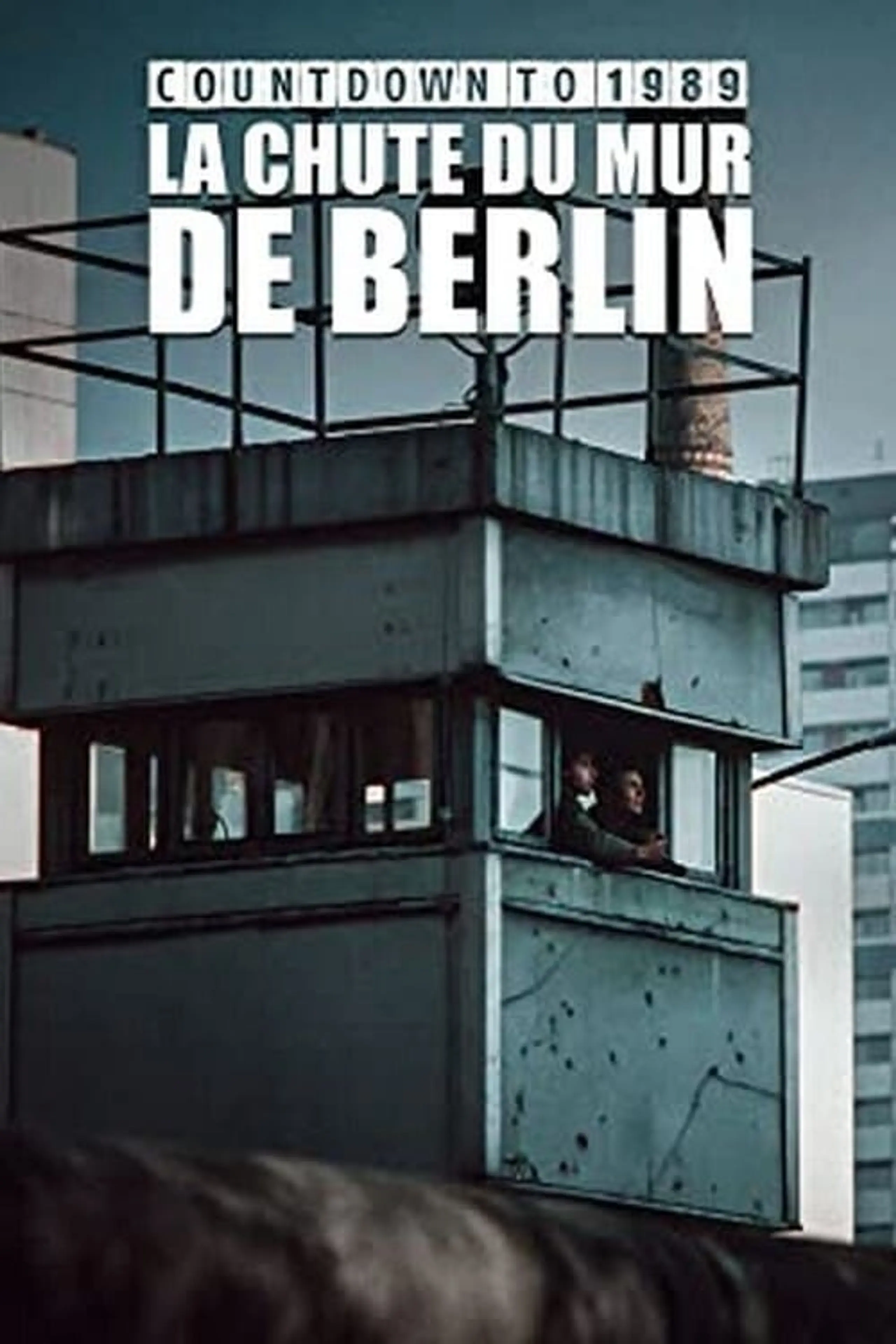 La chute du mur de Berlin