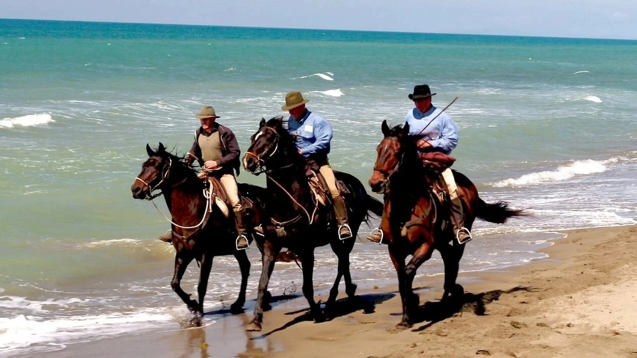 Butteri - Italiens letzte Cowboys
