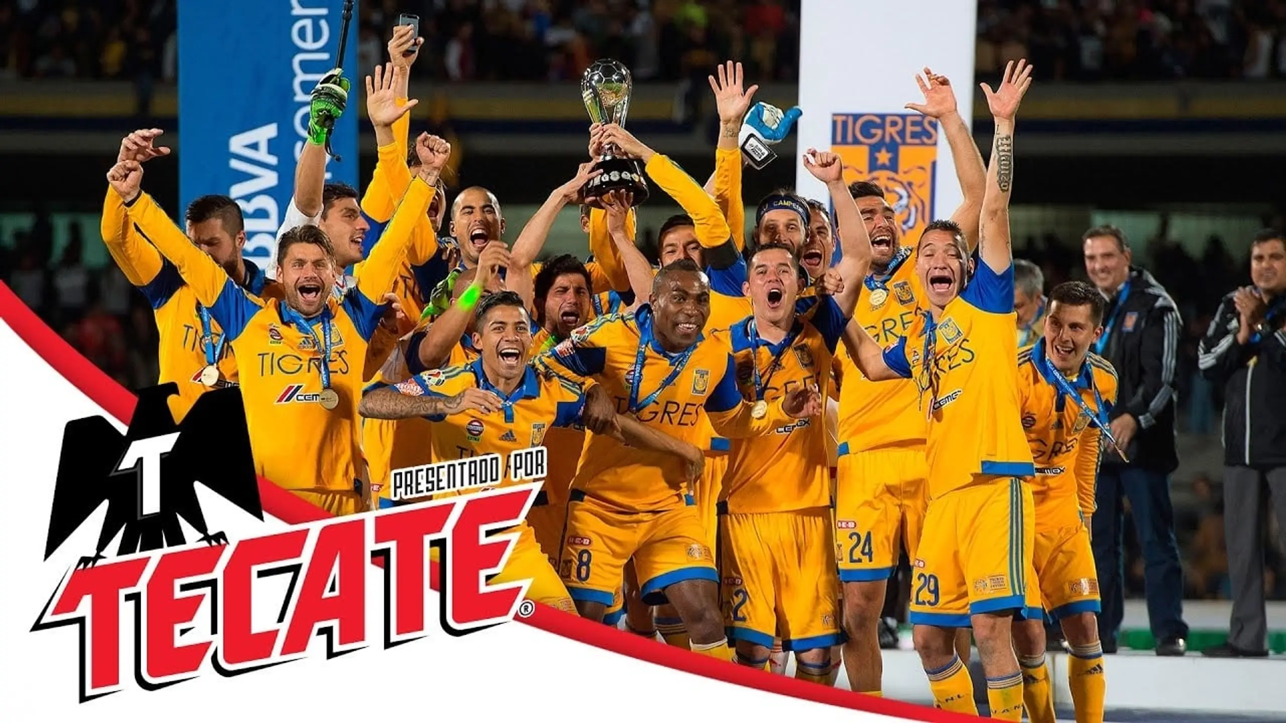 Tigres