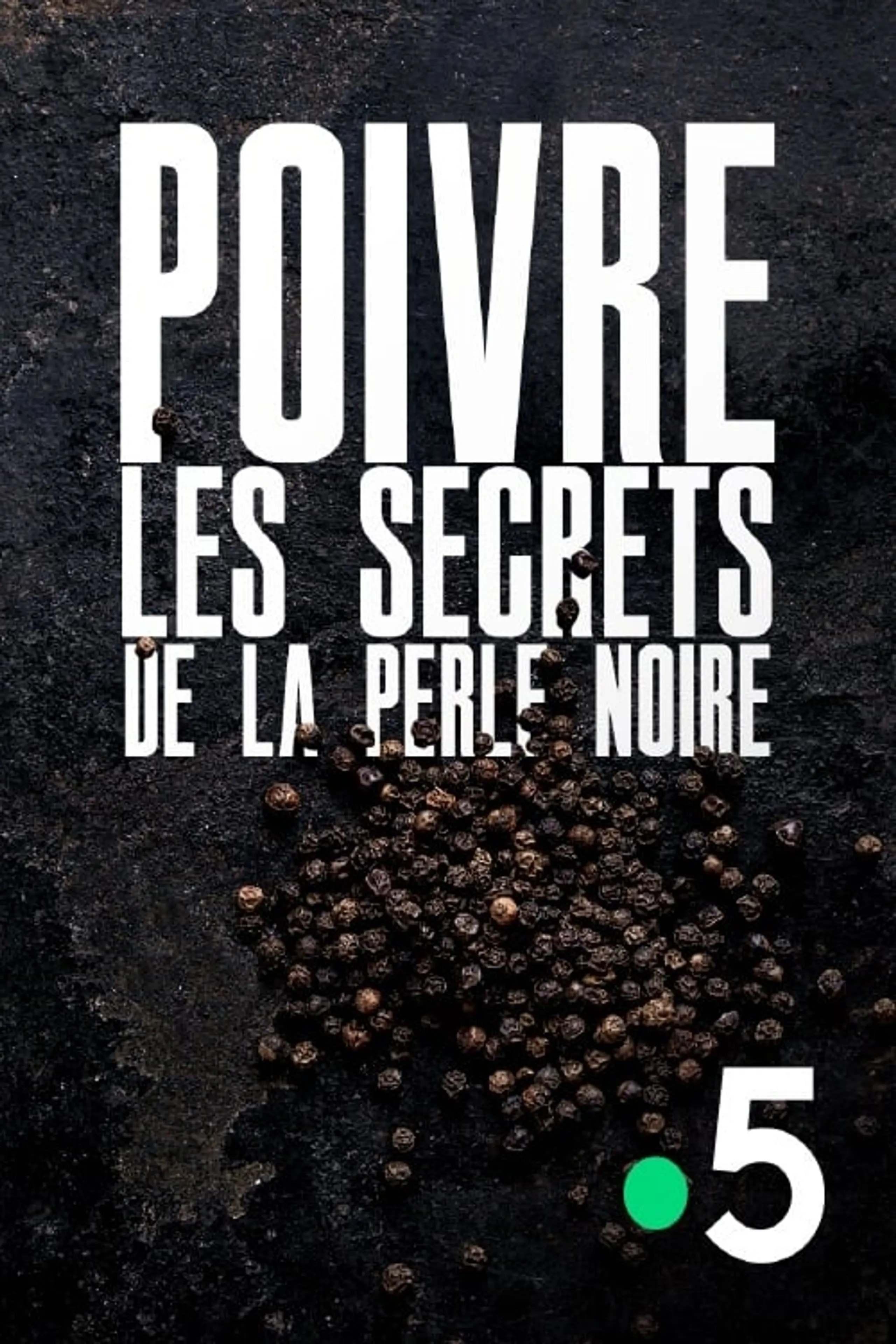 Poivre, les secrets de la perle noire