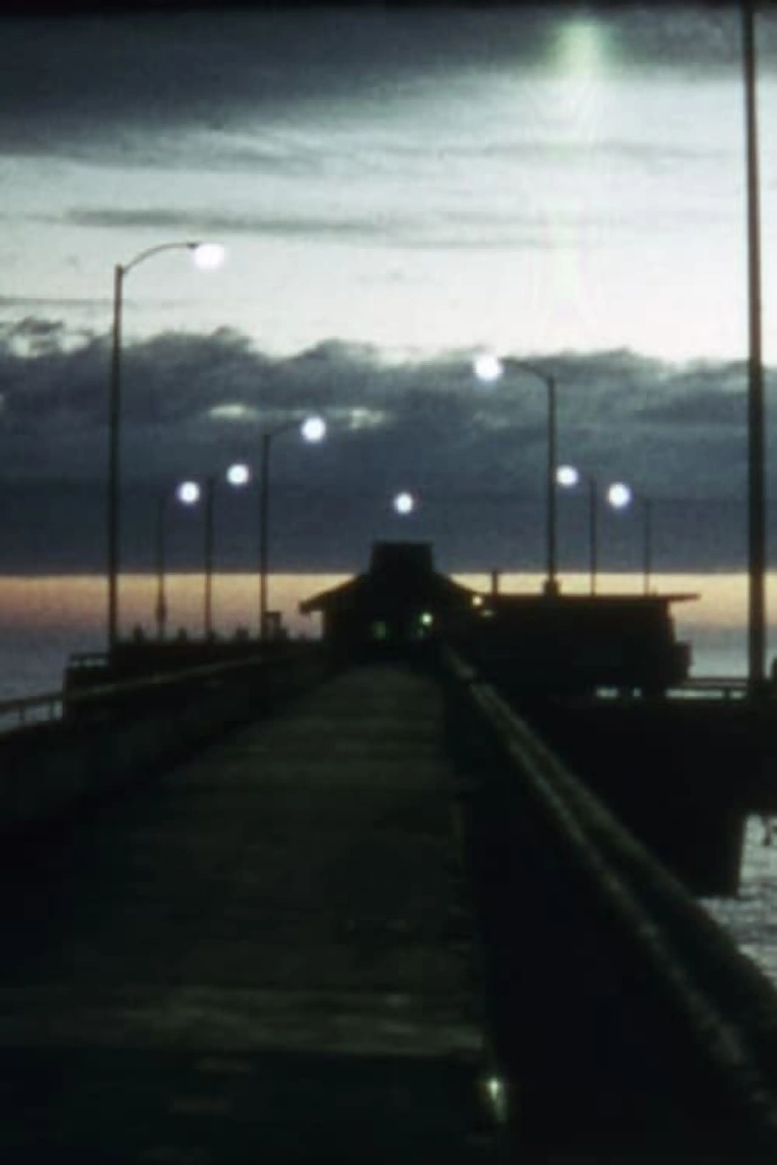 Venice Pier