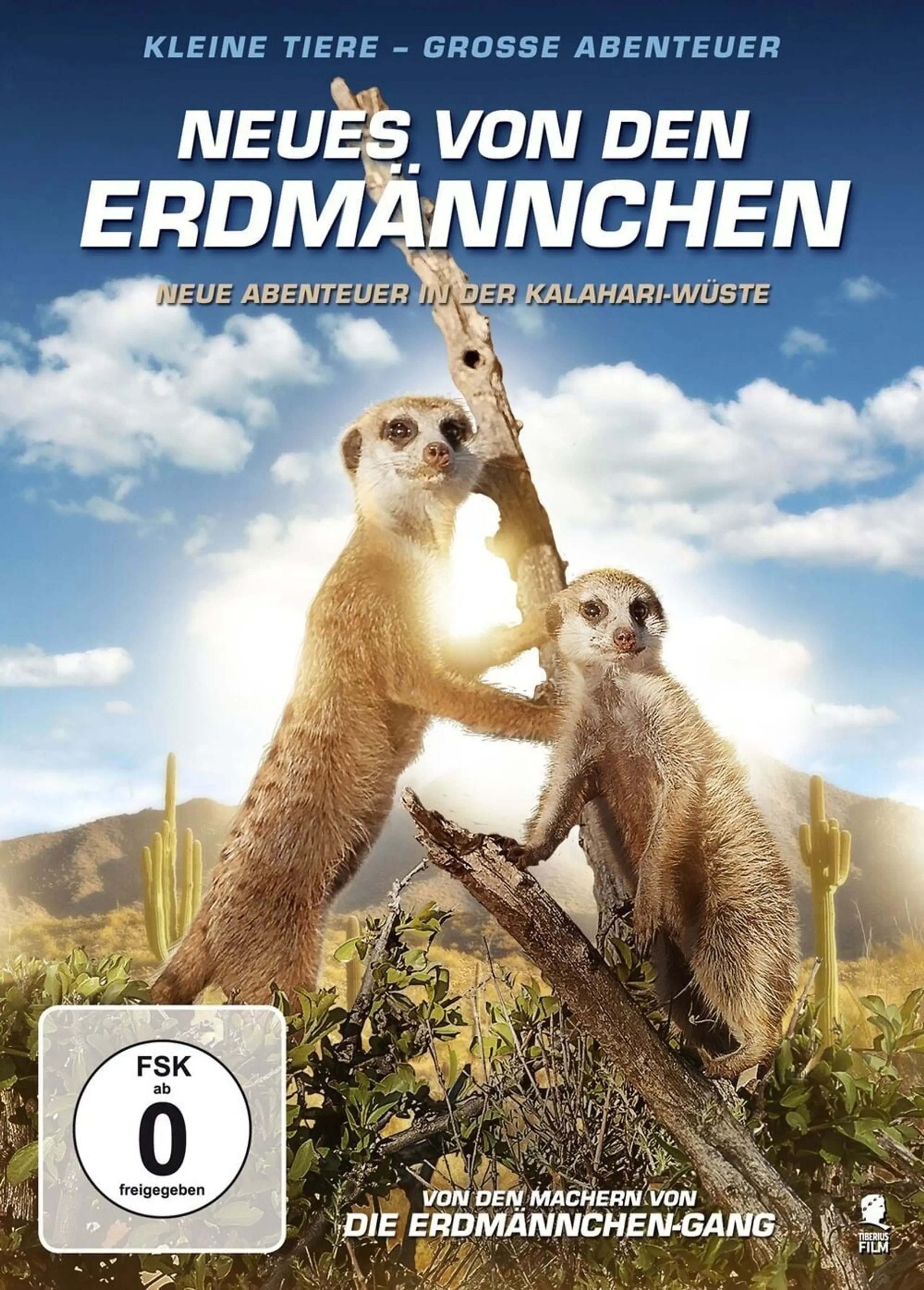 Kalahari Meerkats