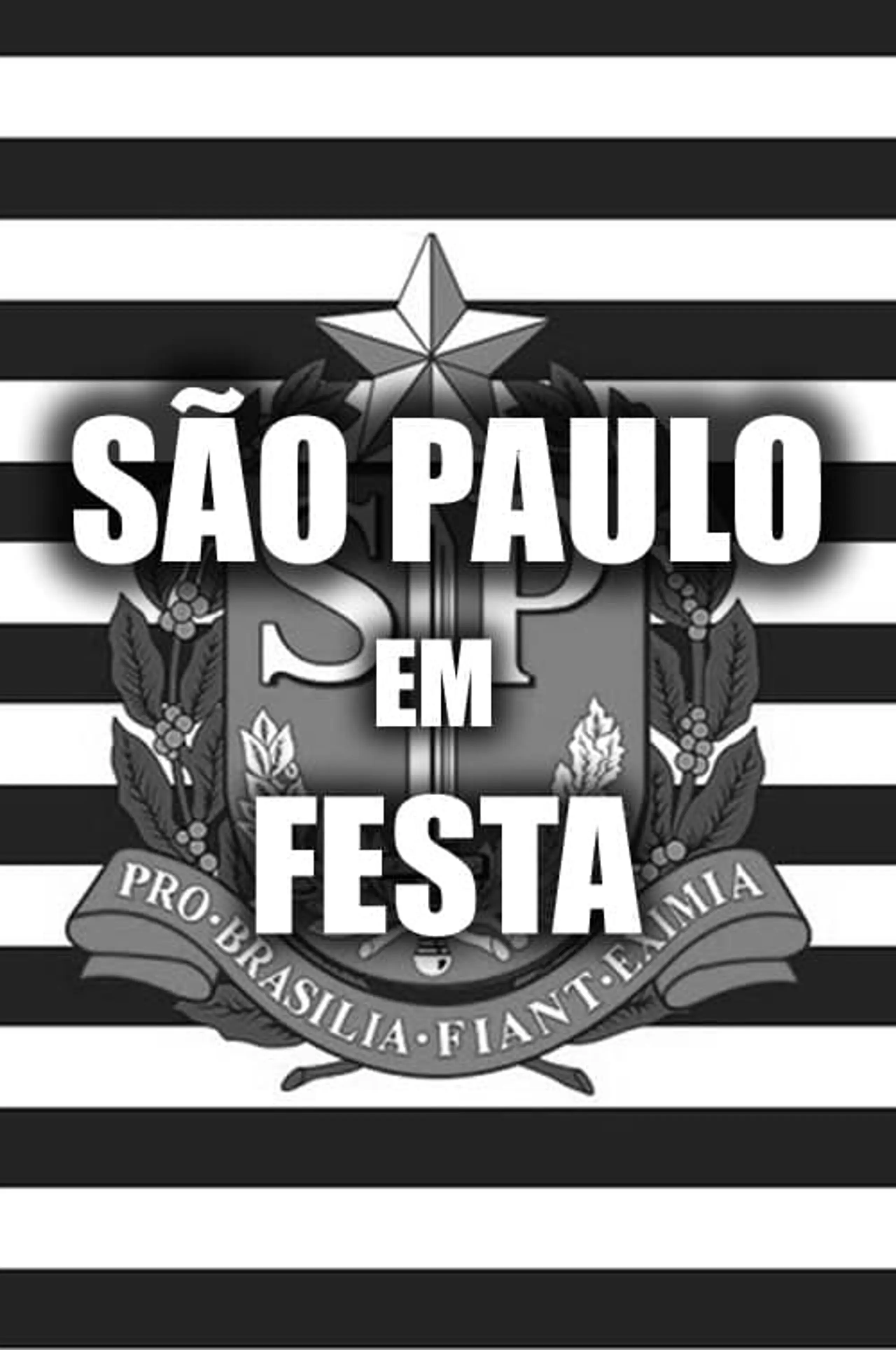 São Paulo em Festa