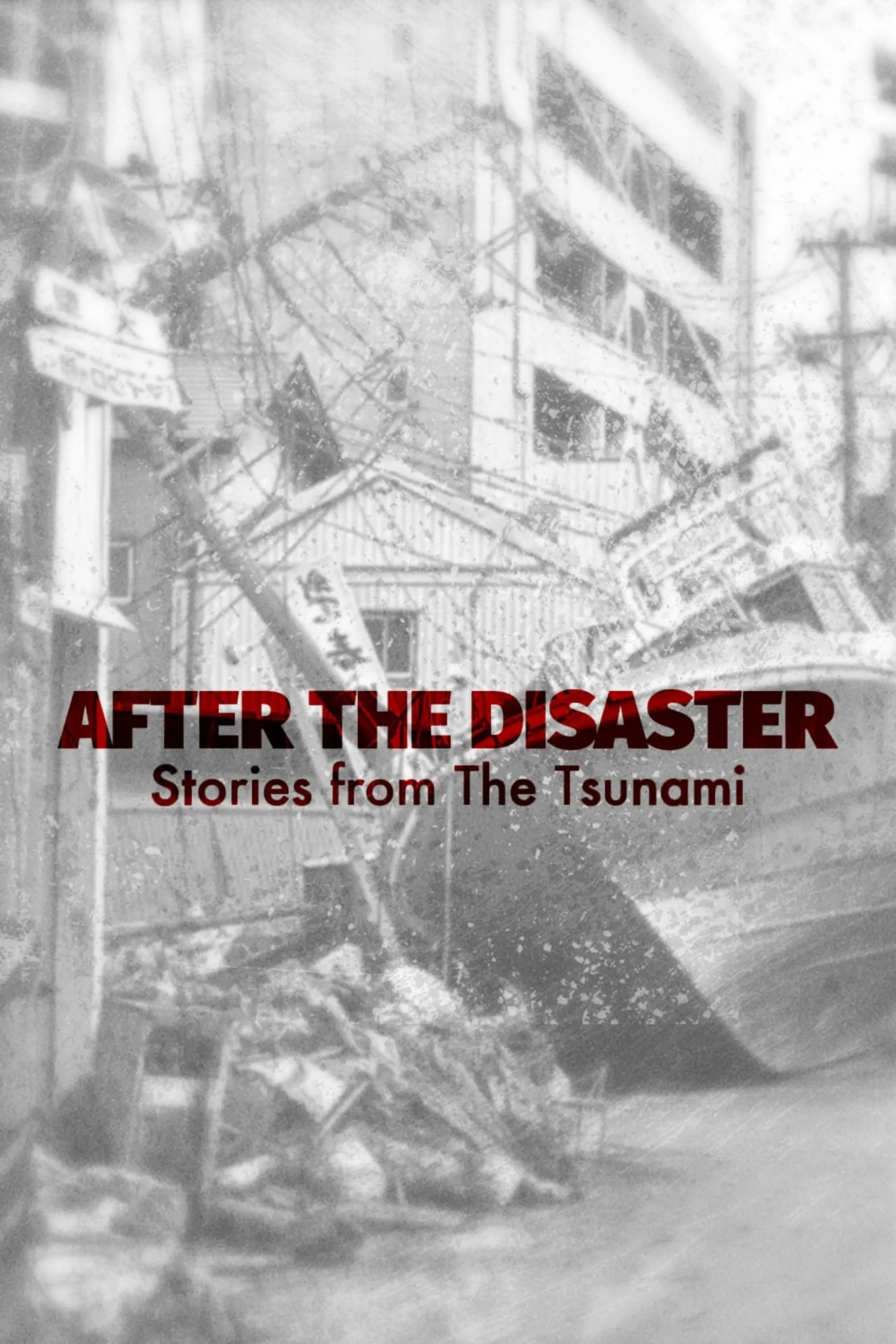 After The Disaster: Stories from The Tsunami