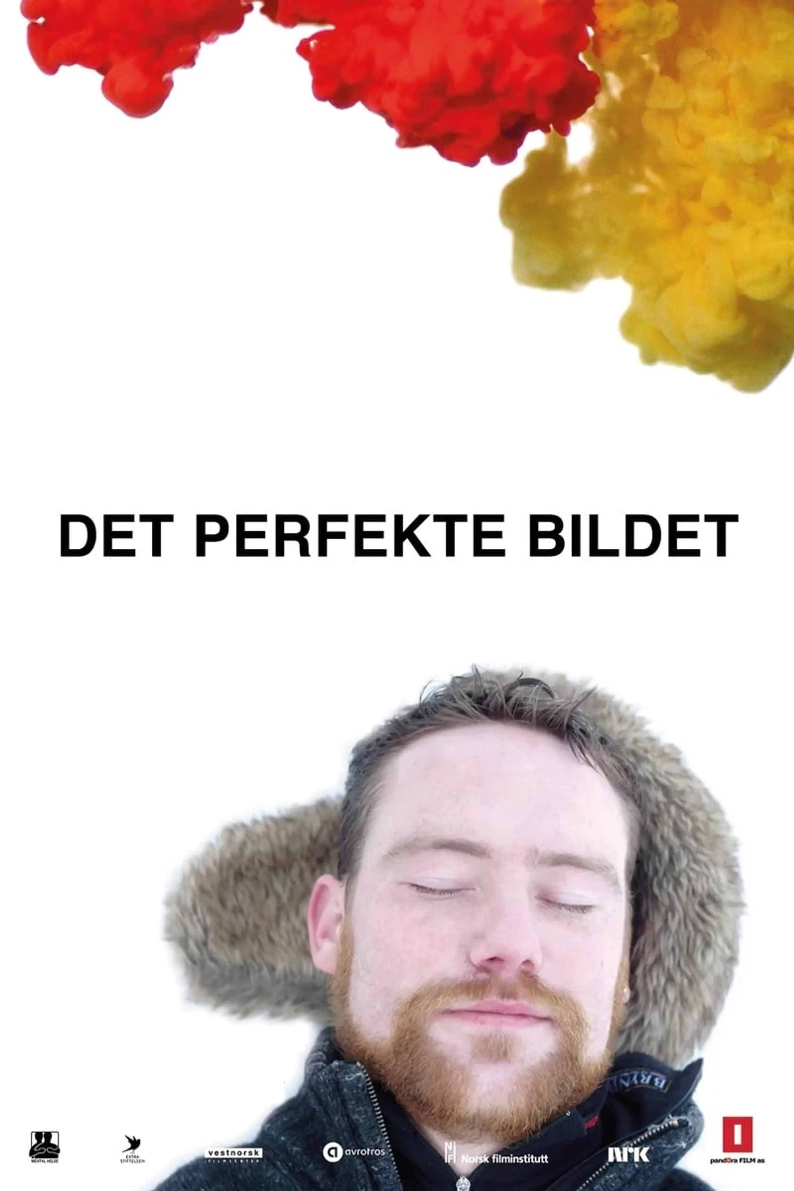 Det perfekte bildet