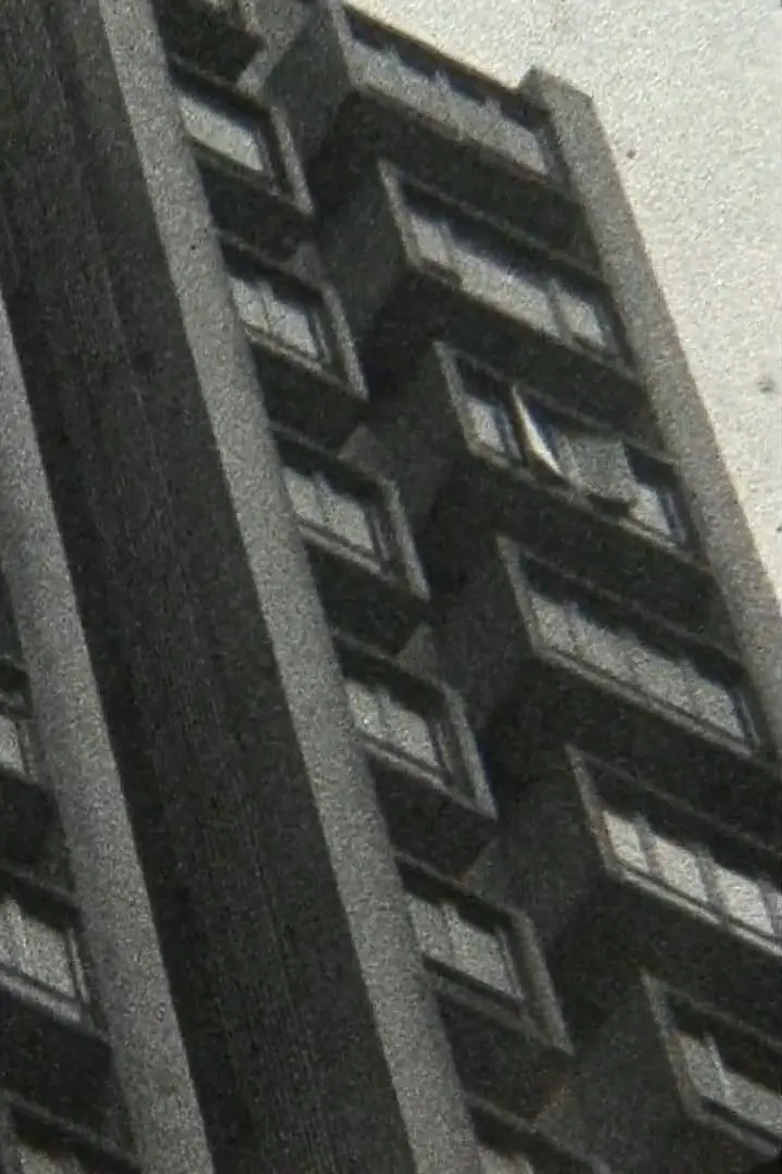 揺蕩