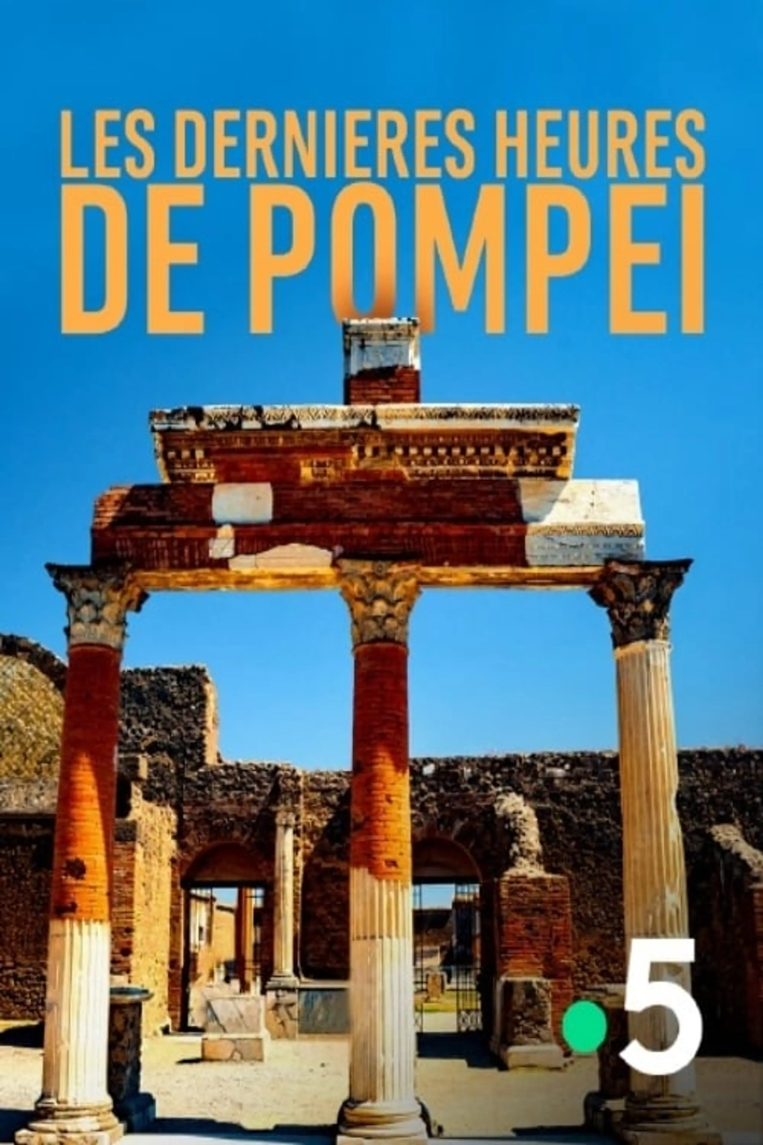 Pompeji - Die Rettung der Zeitzeugen