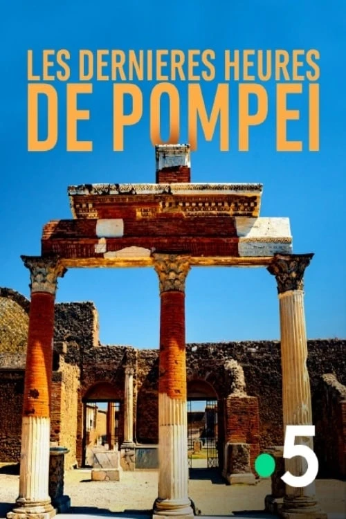 Pompeji - Die Rettung der Zeitzeugen