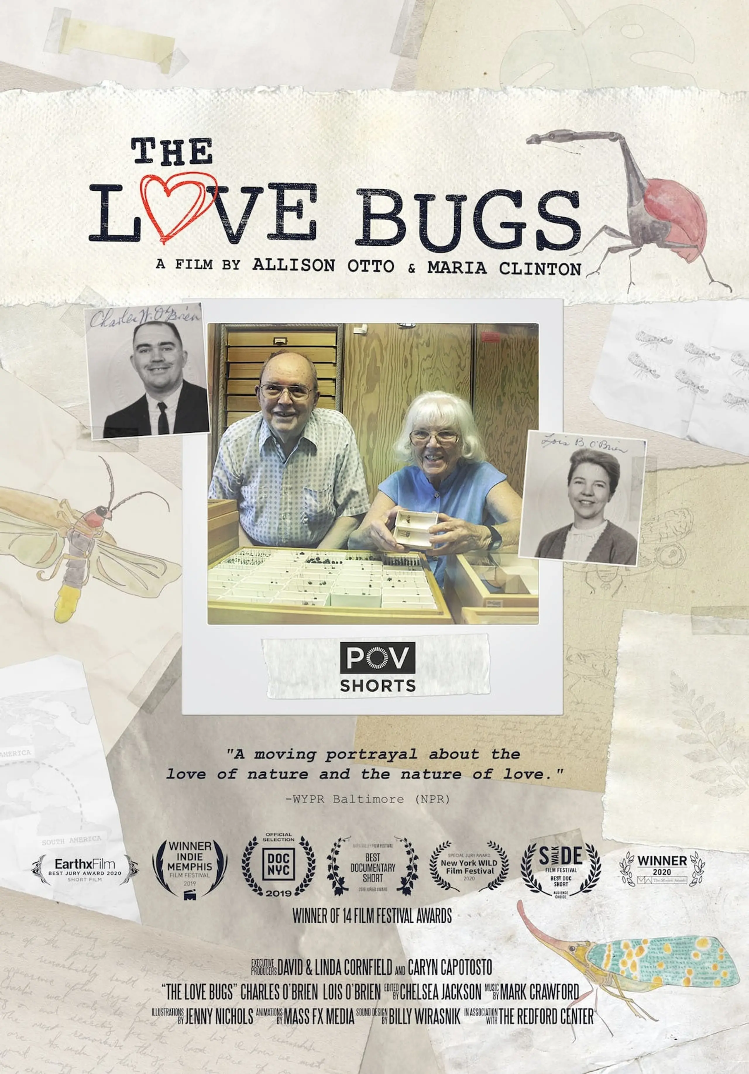 The Love Bugs