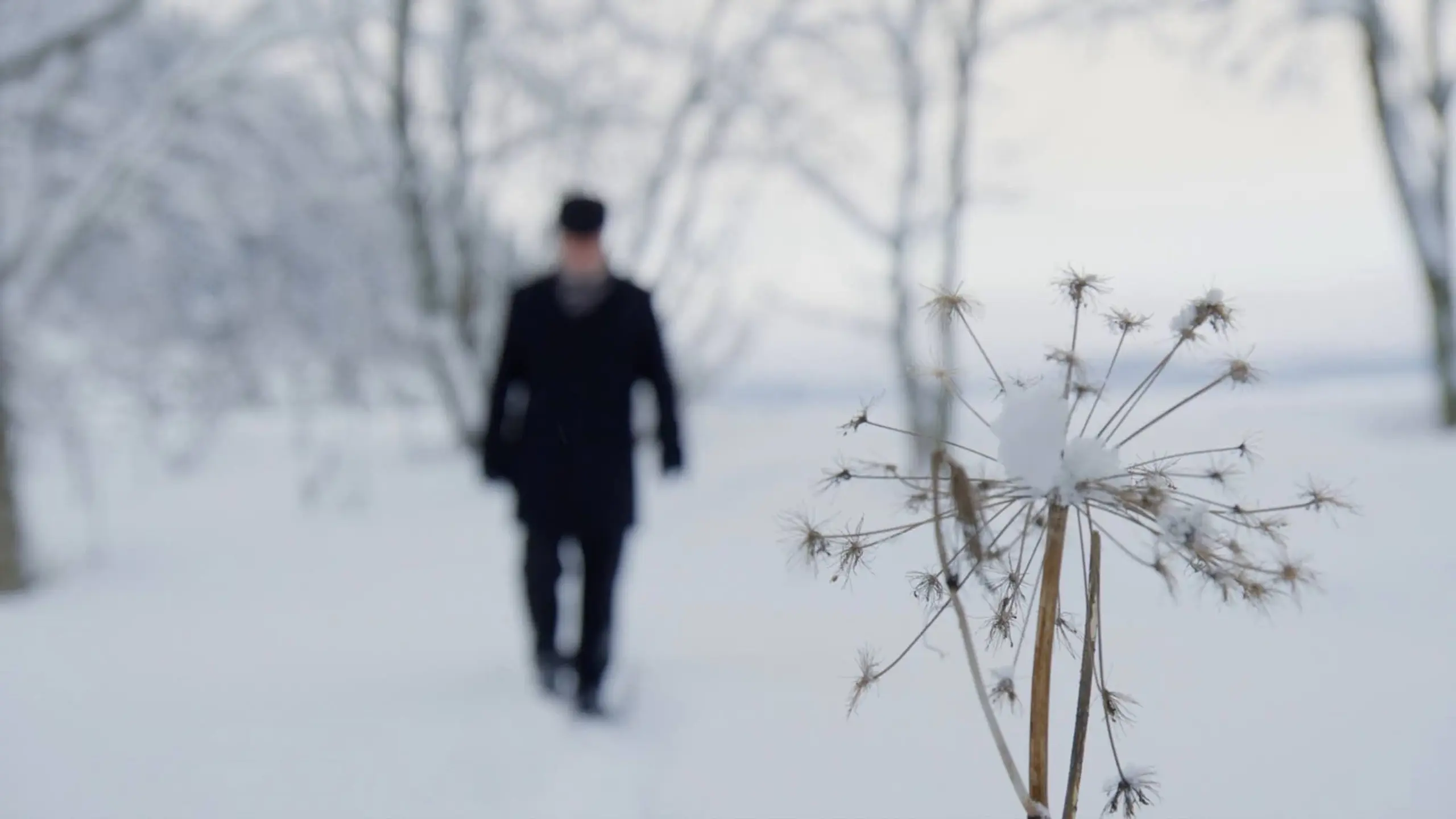 Forteljingar om mot