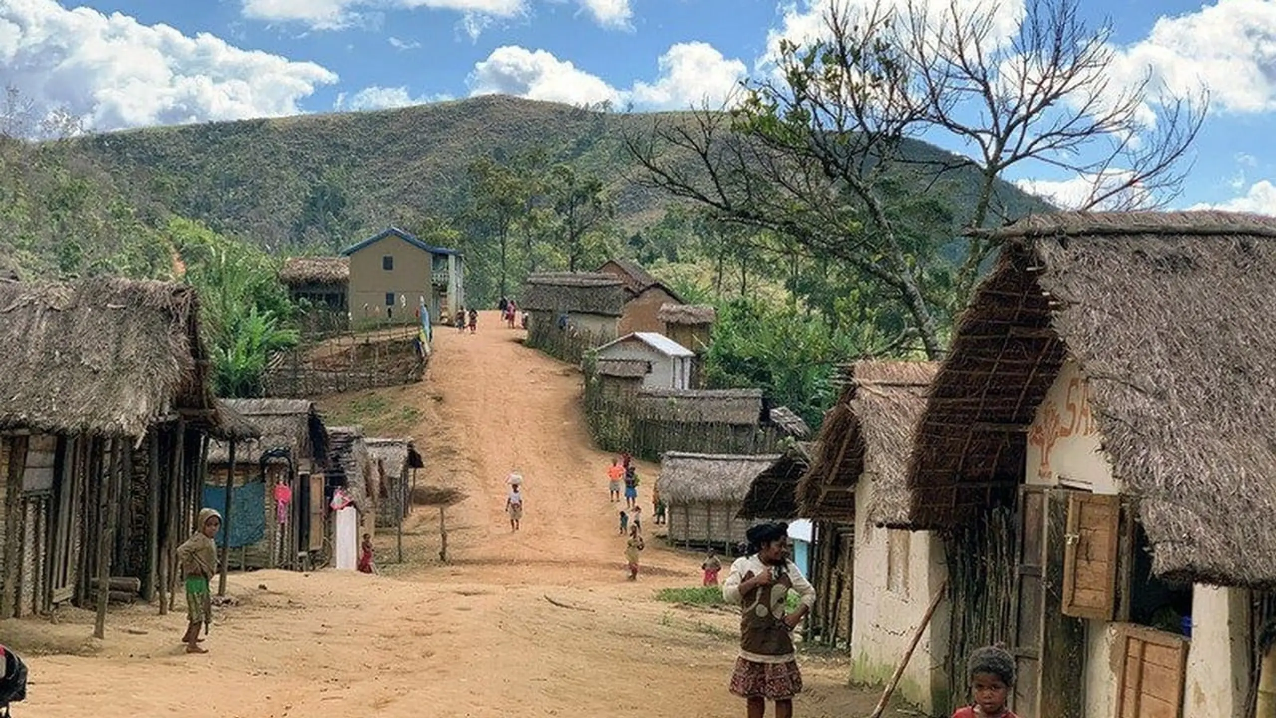 Madagascar, l'île rouge : Le royaume des lémurs catta