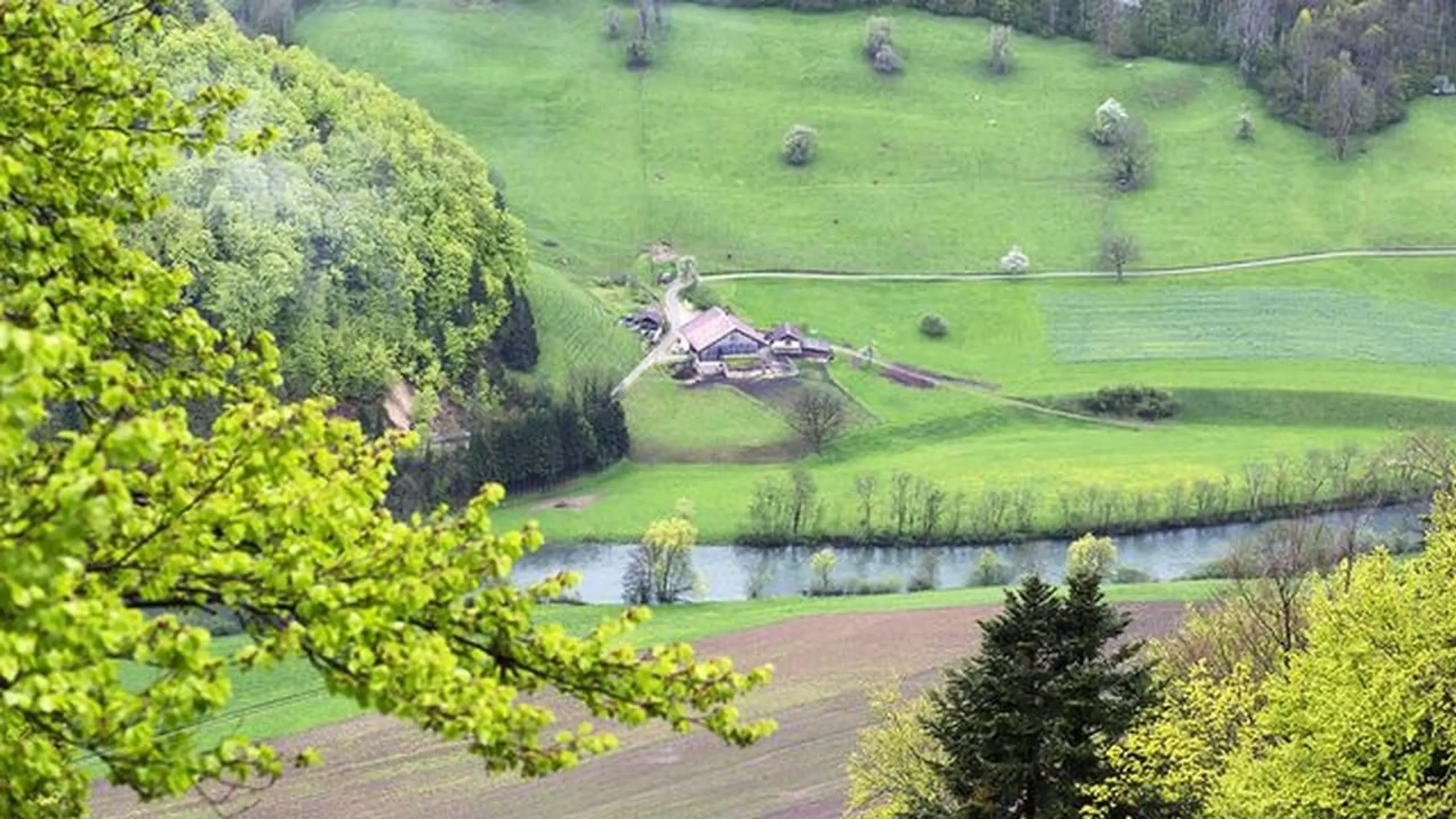 Et au milieu coule le Doubs