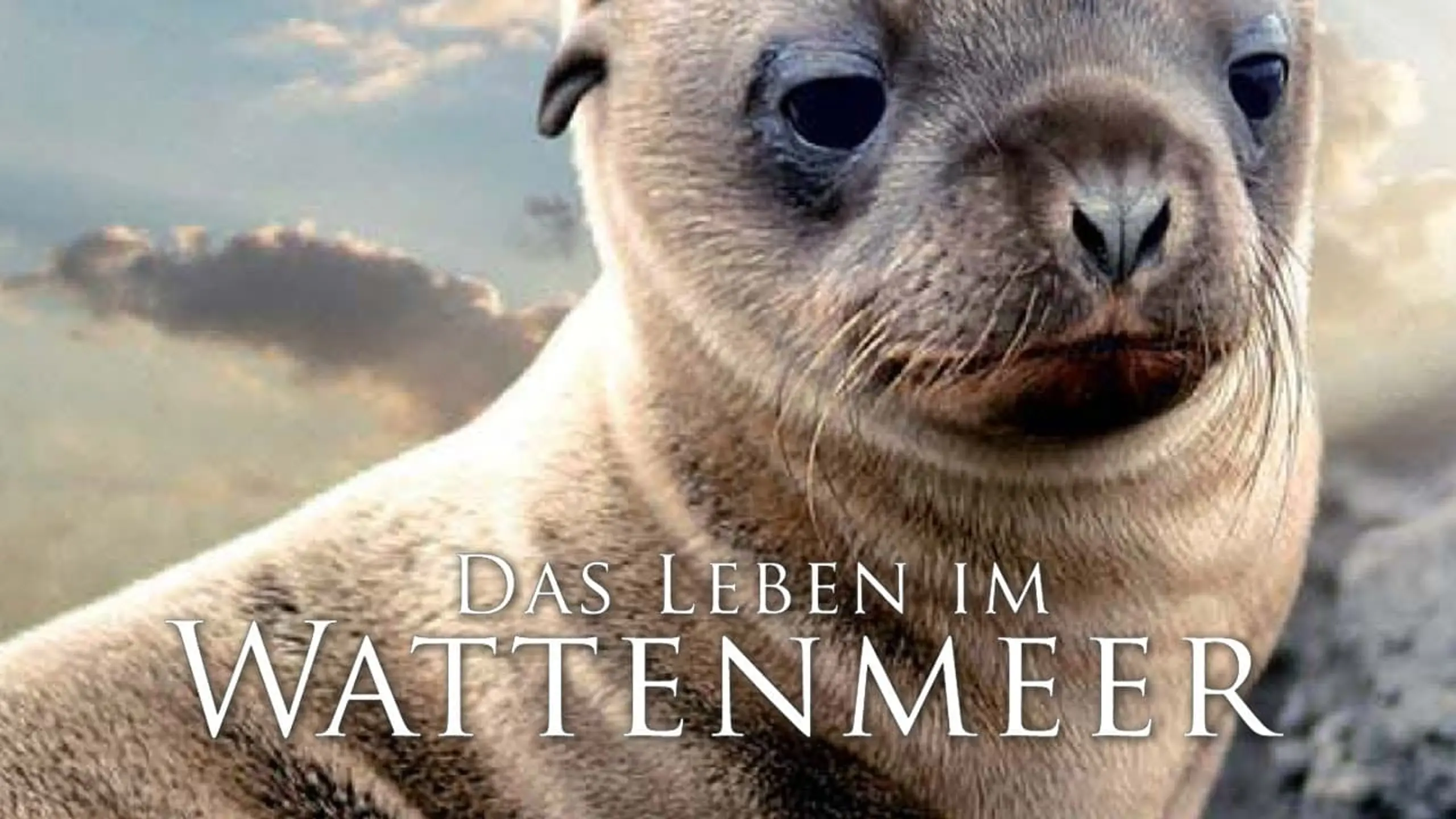 Das Leben im Wattenmeer