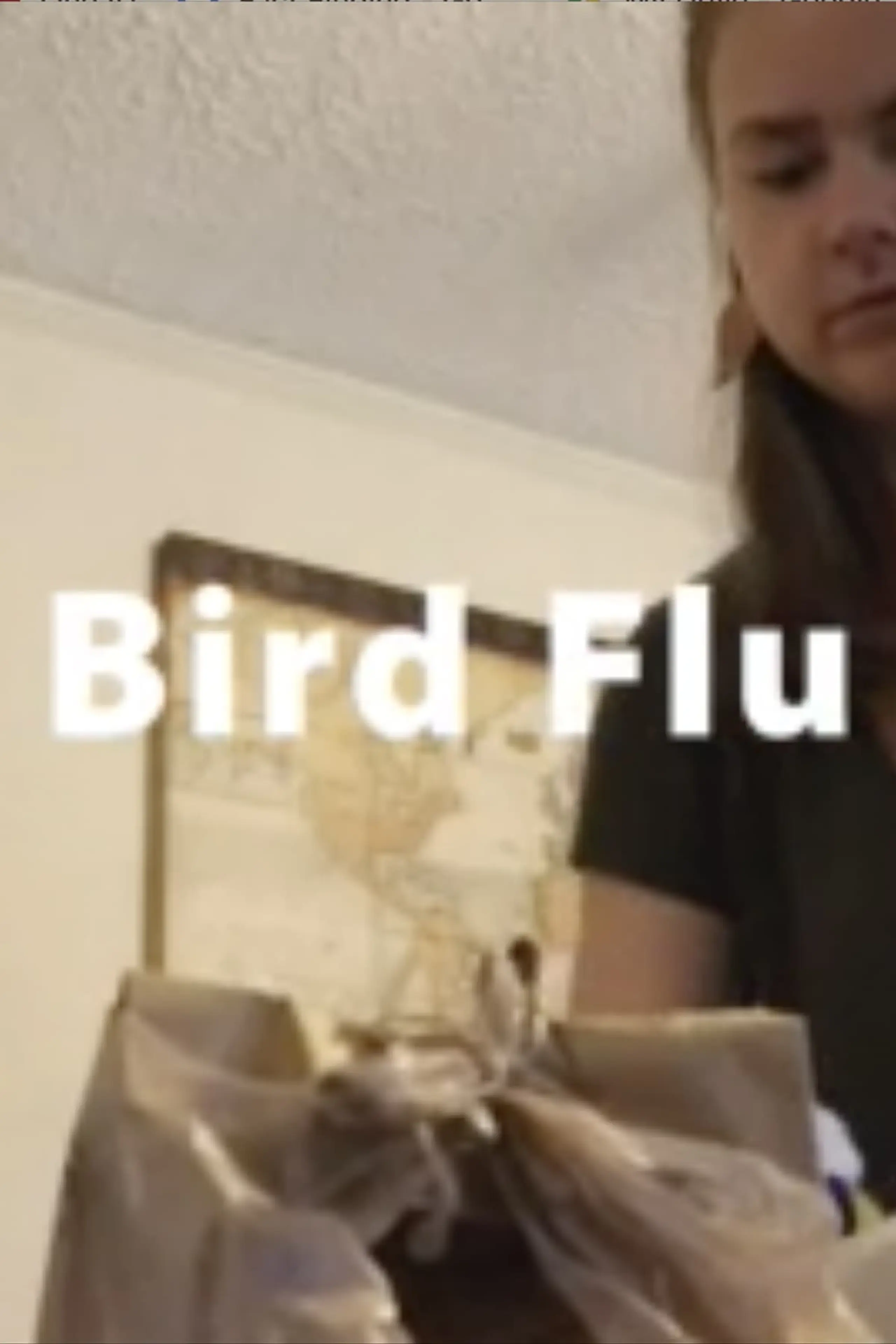 Bird Flu