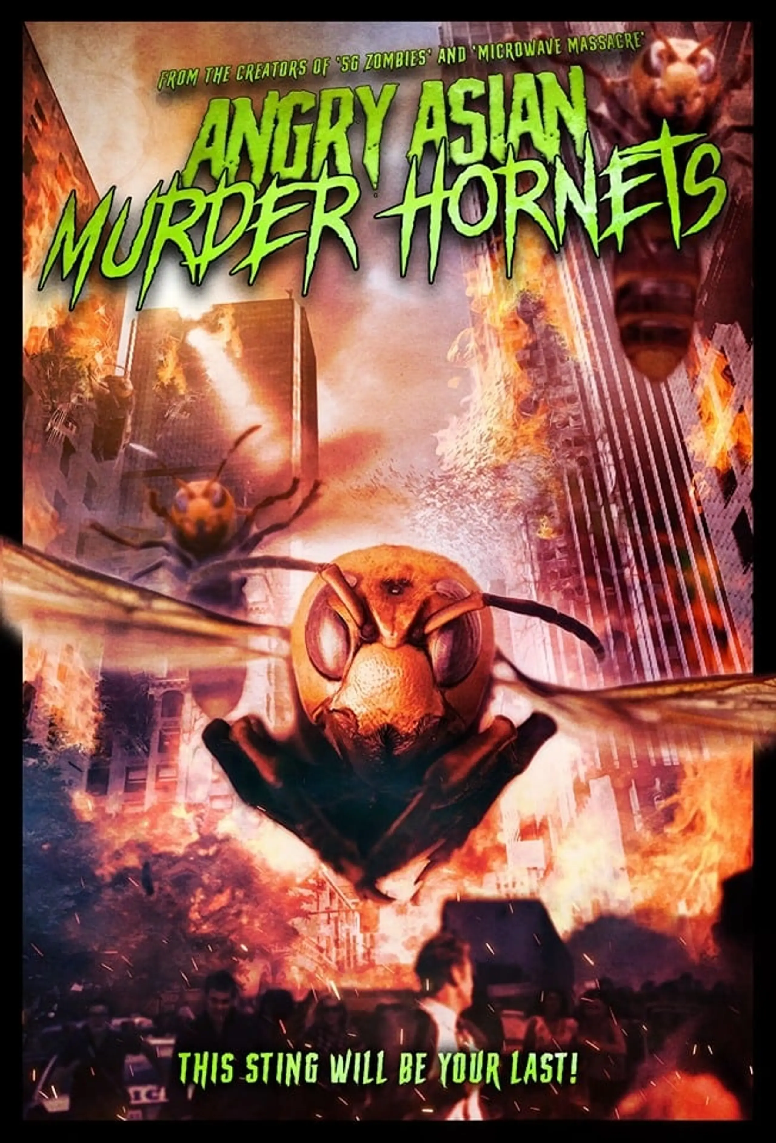 Murder Hornets