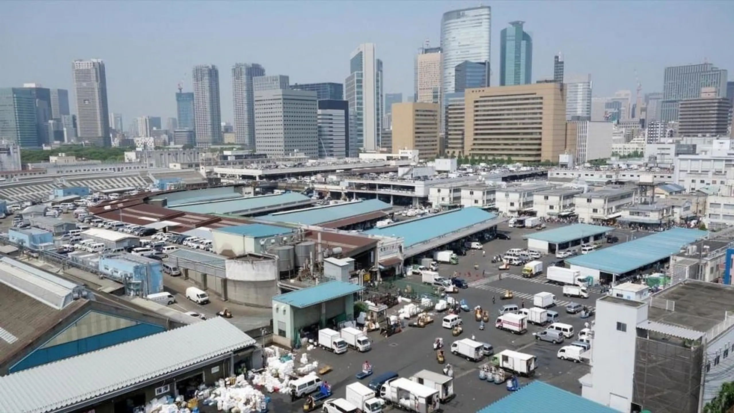 Tokyo, il était une fois le marché aux poissons