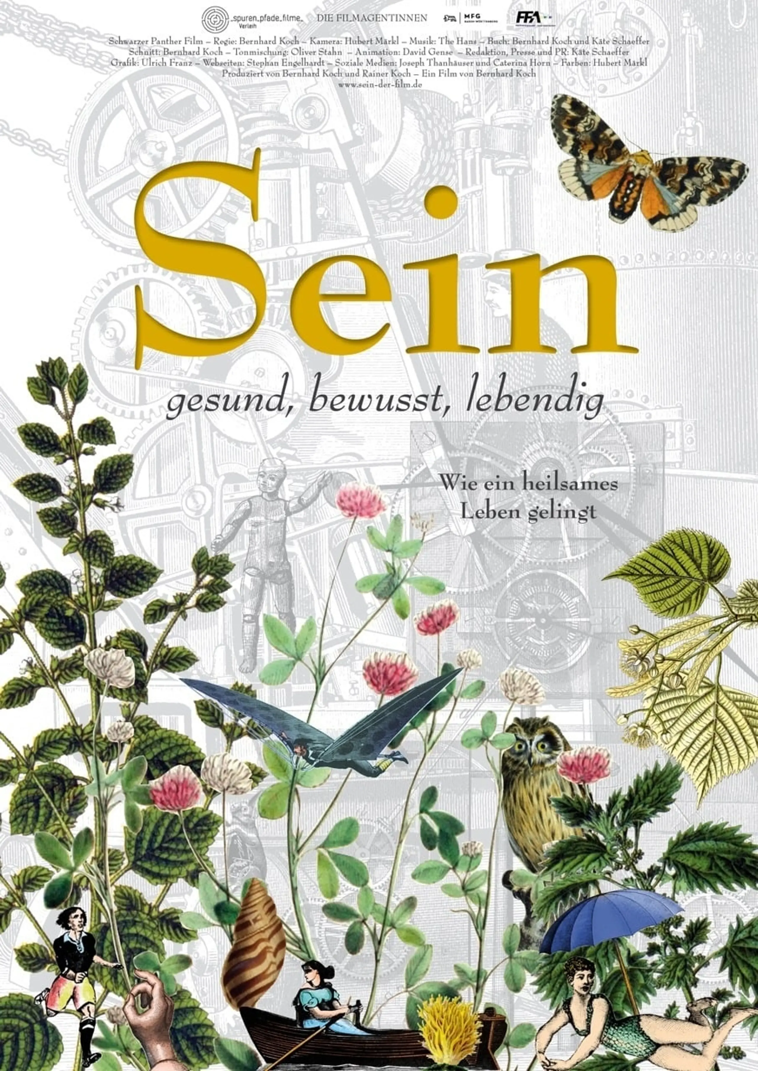 Sein