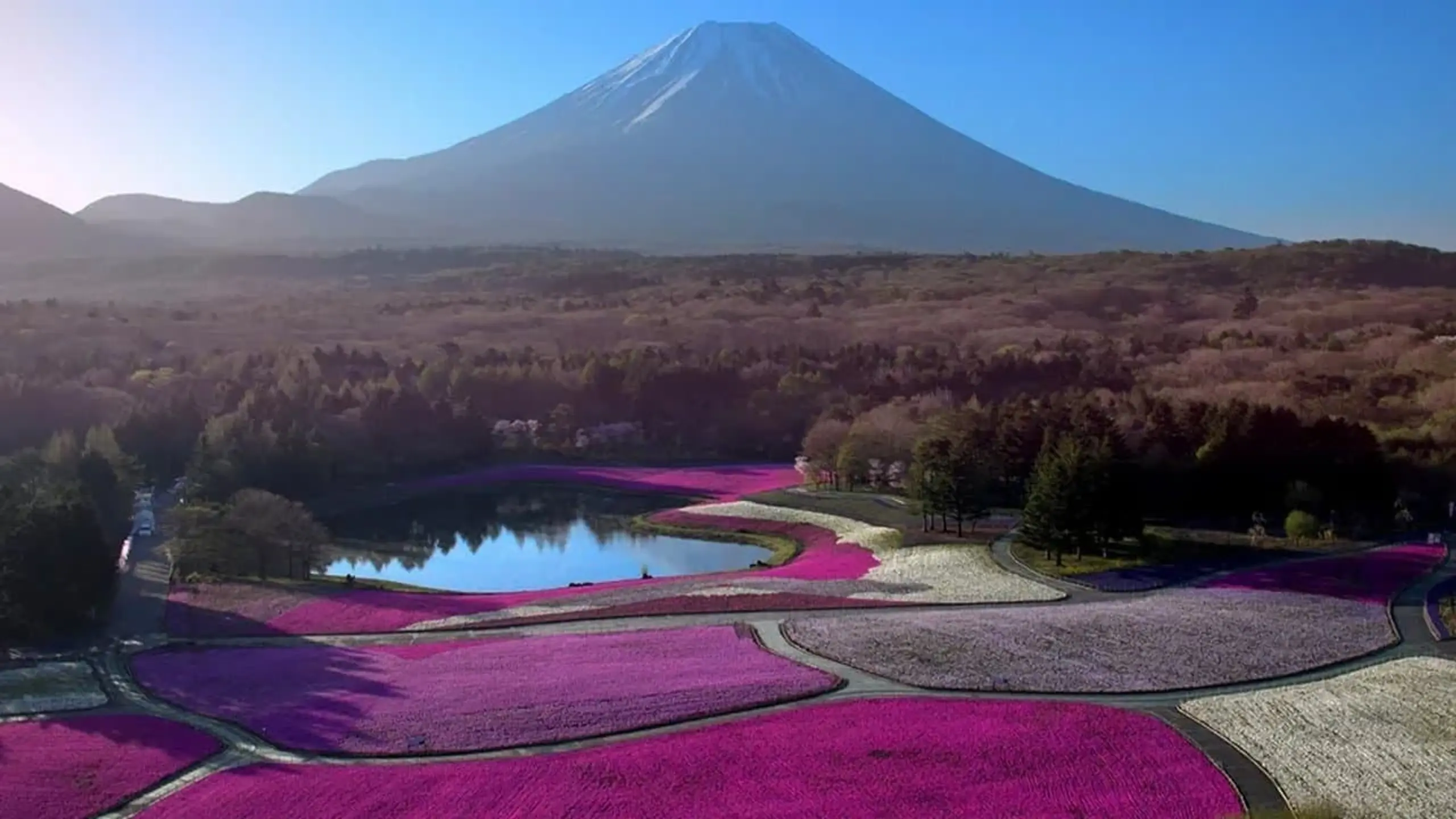 Japan - Land der fünf Elemente