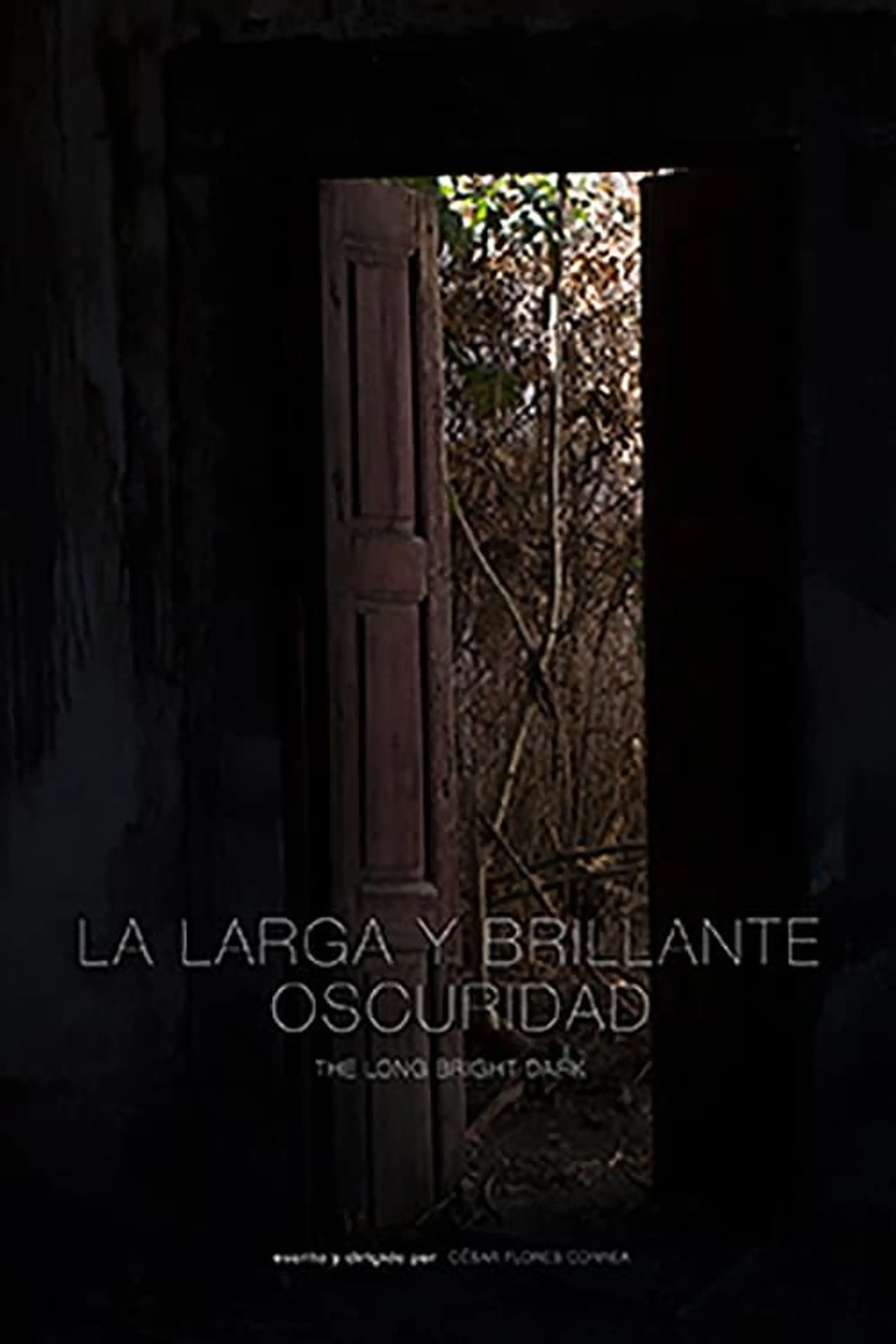 La Larga y Brillante Oscuridad