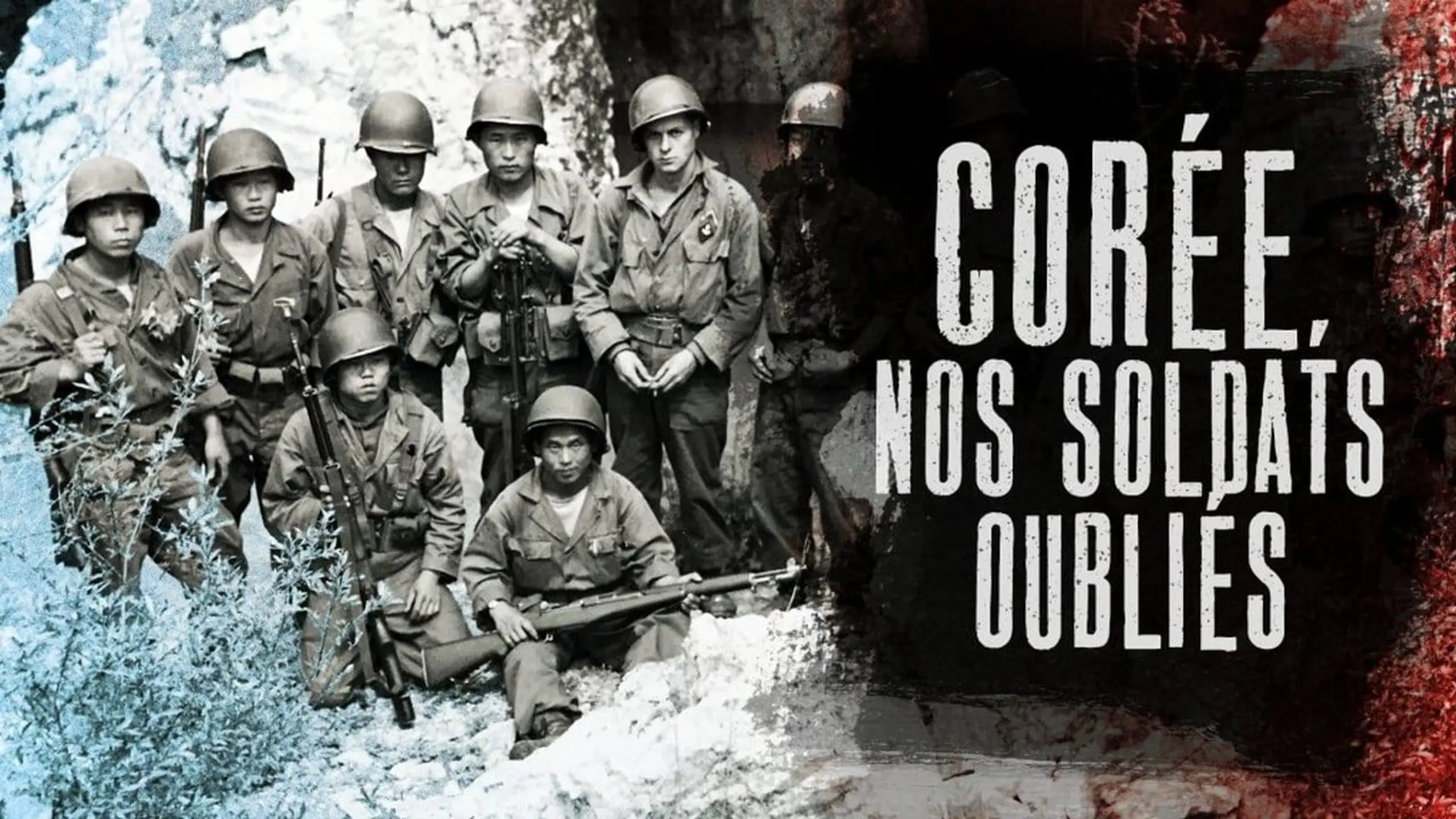 Corée, nos soldats oubliés