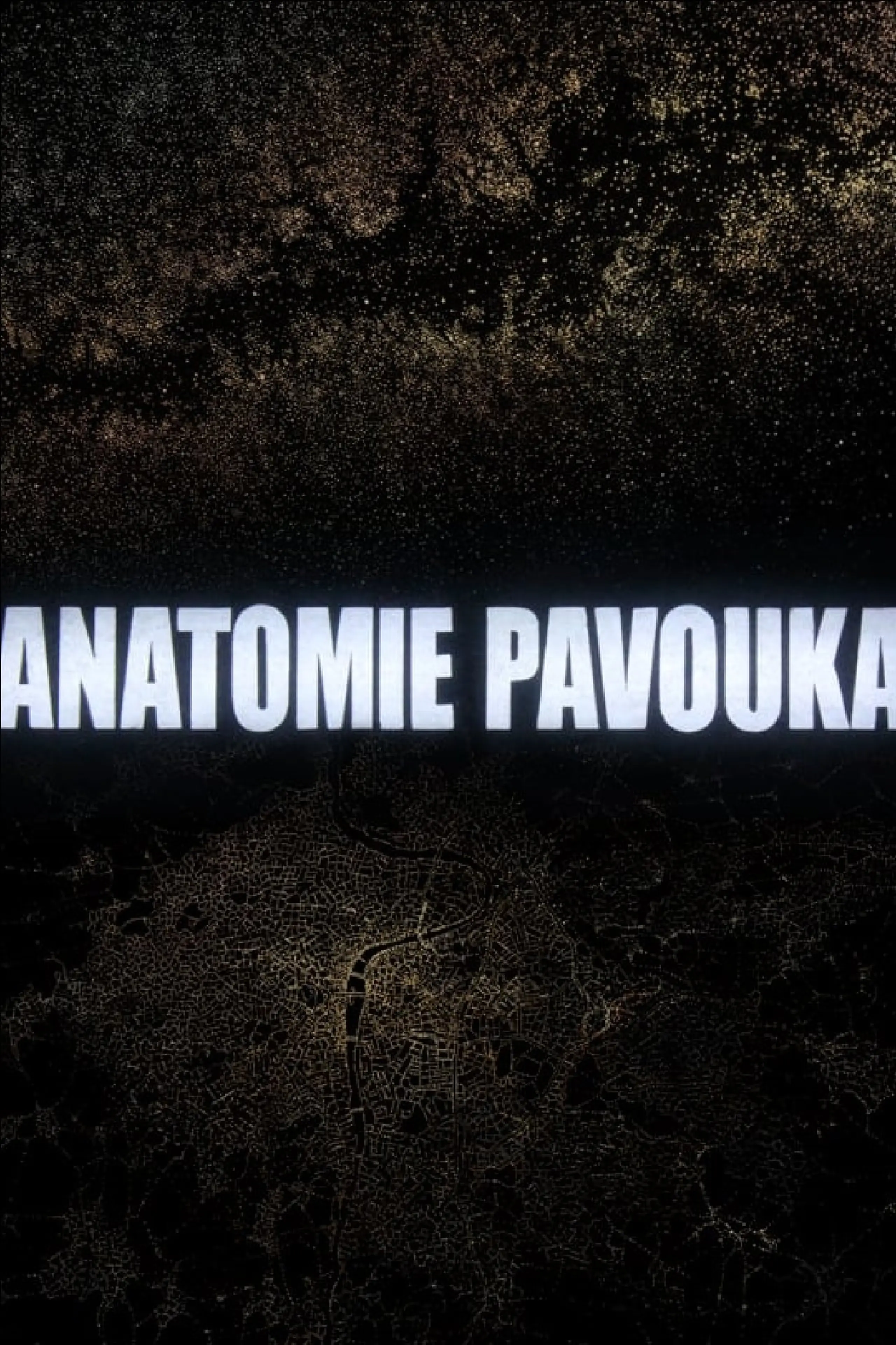 Anatomie Pavouka