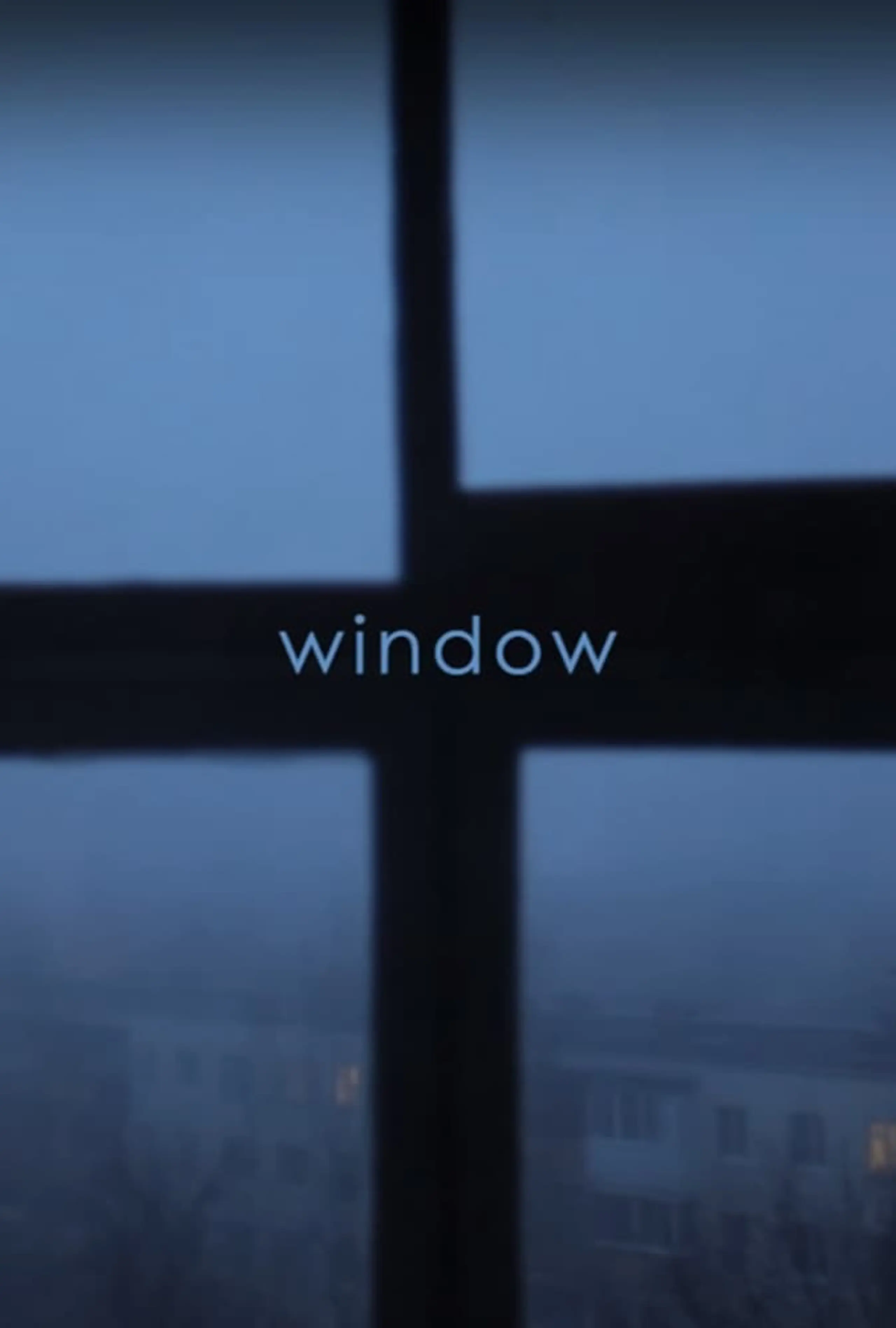 Window