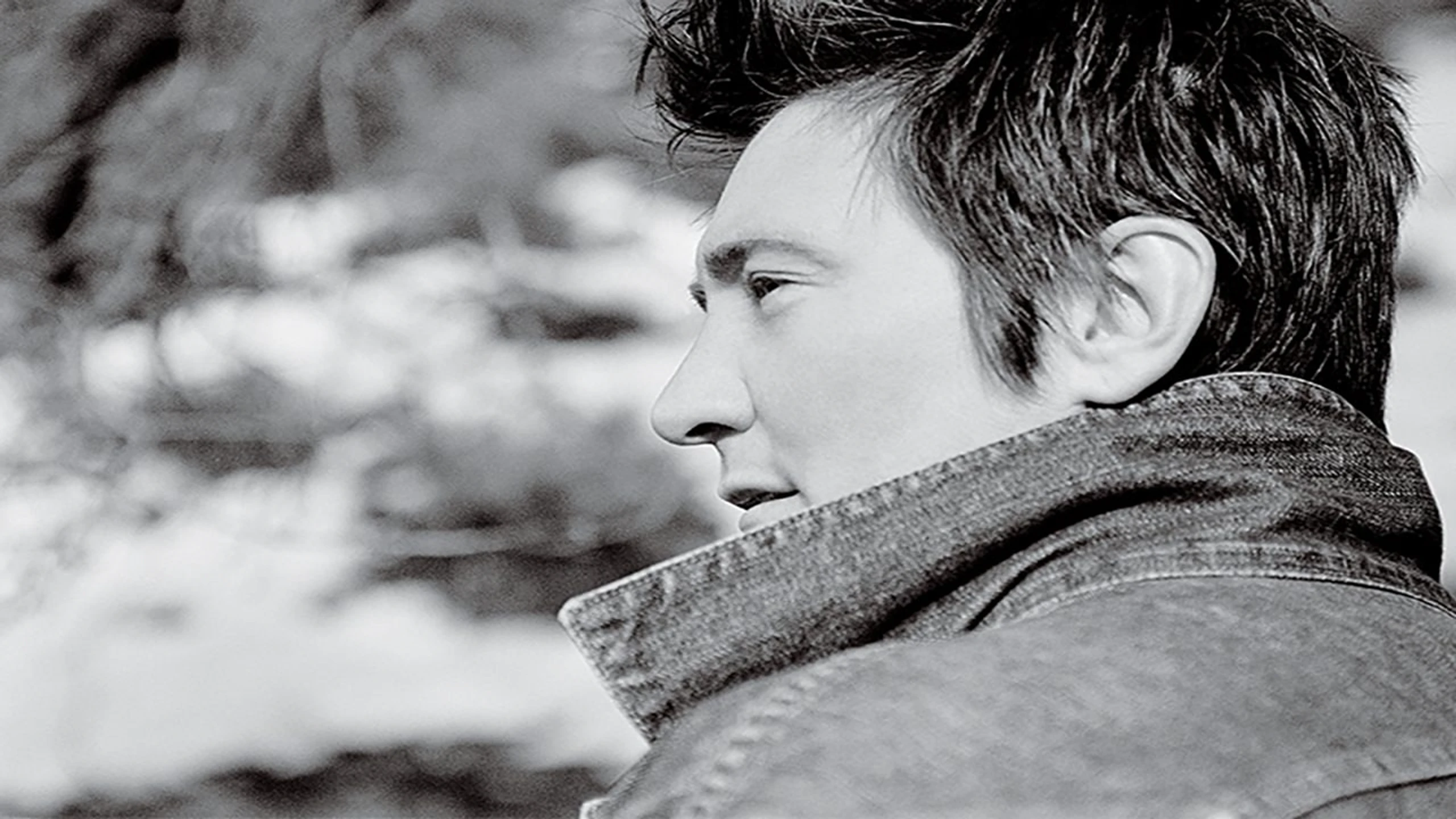 k.d. lang: Ingénue Redux - Live From the Majestic Theatre