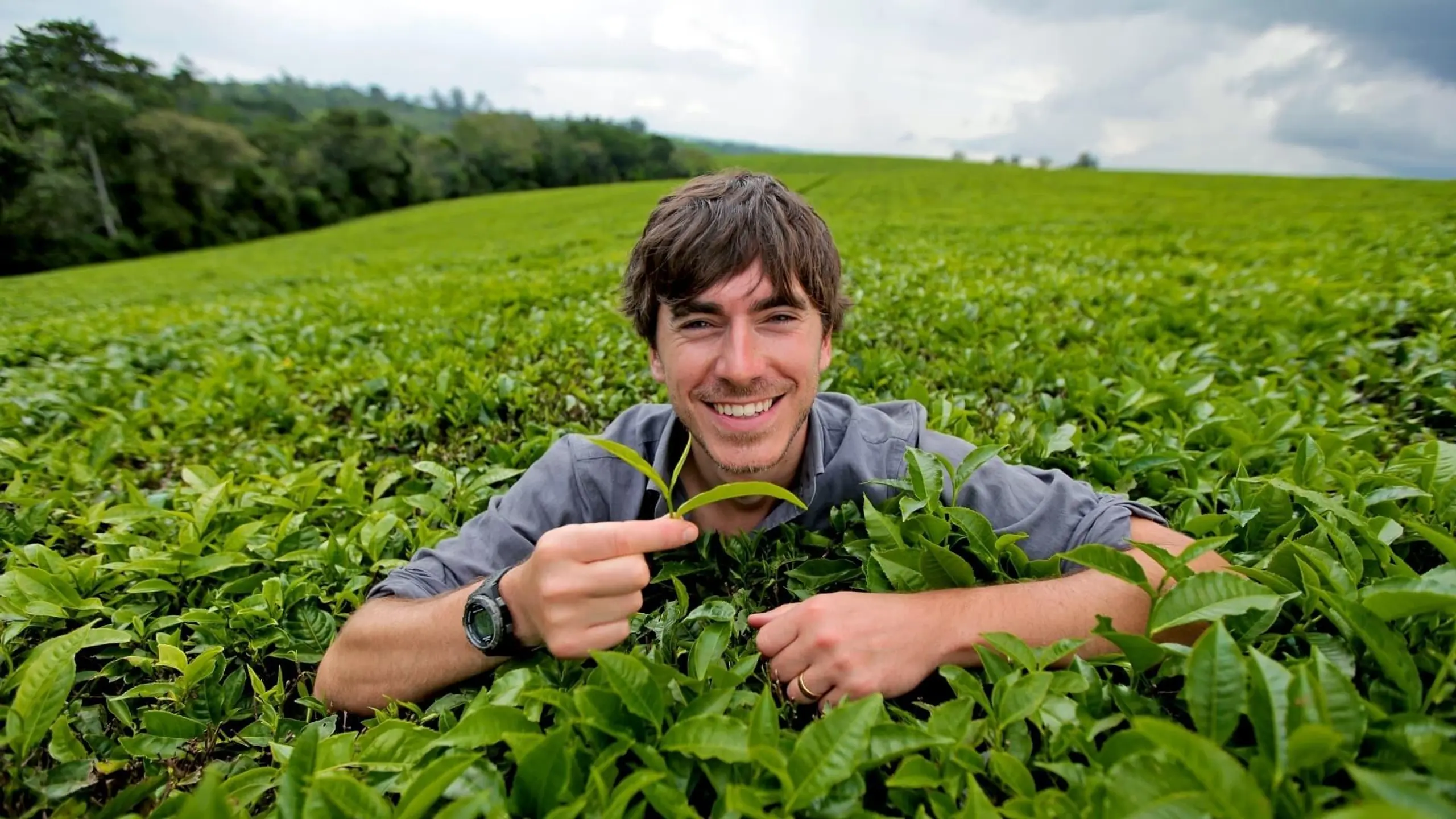 The Tea Trail with Simon Reeve