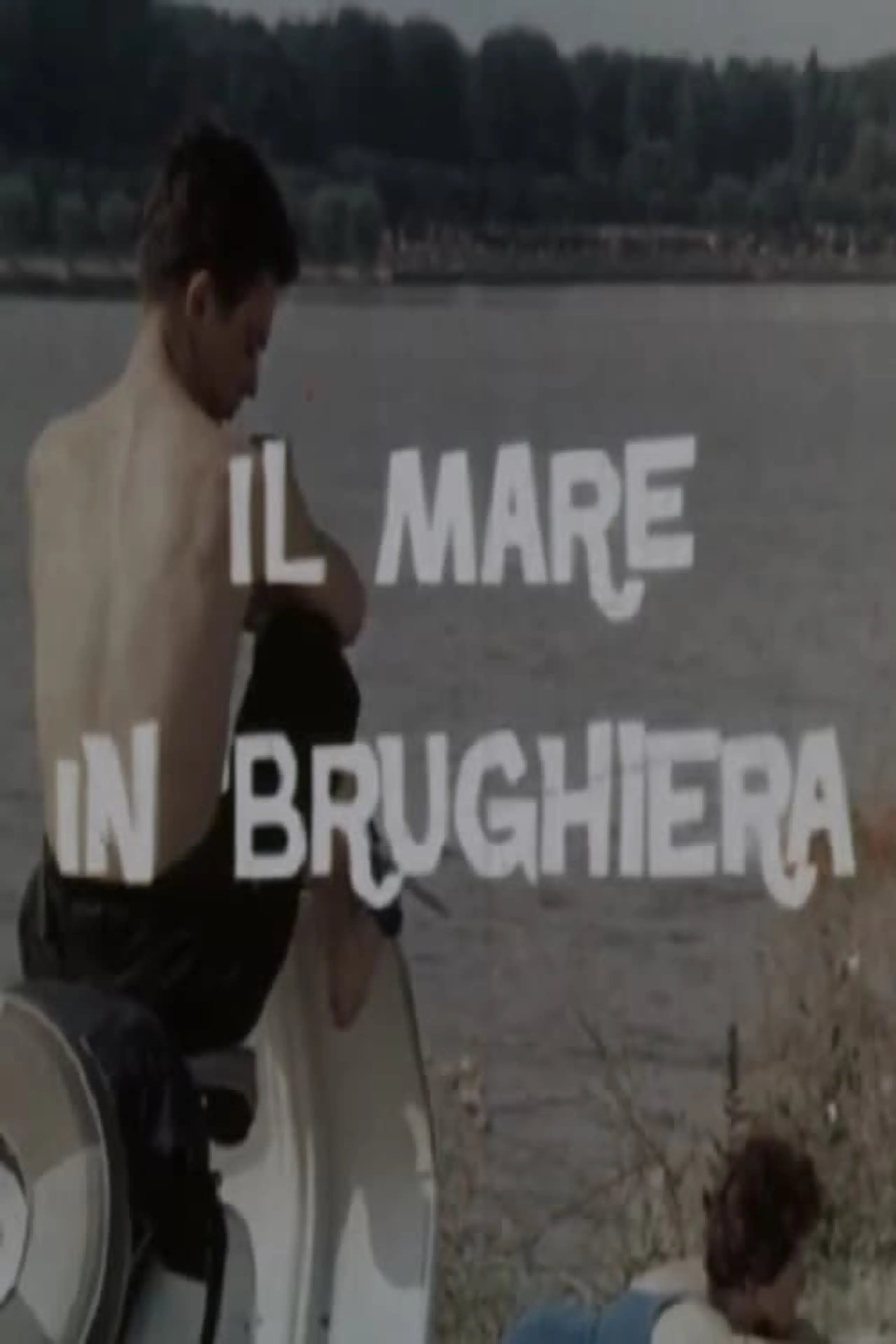 Il mare in brughiera